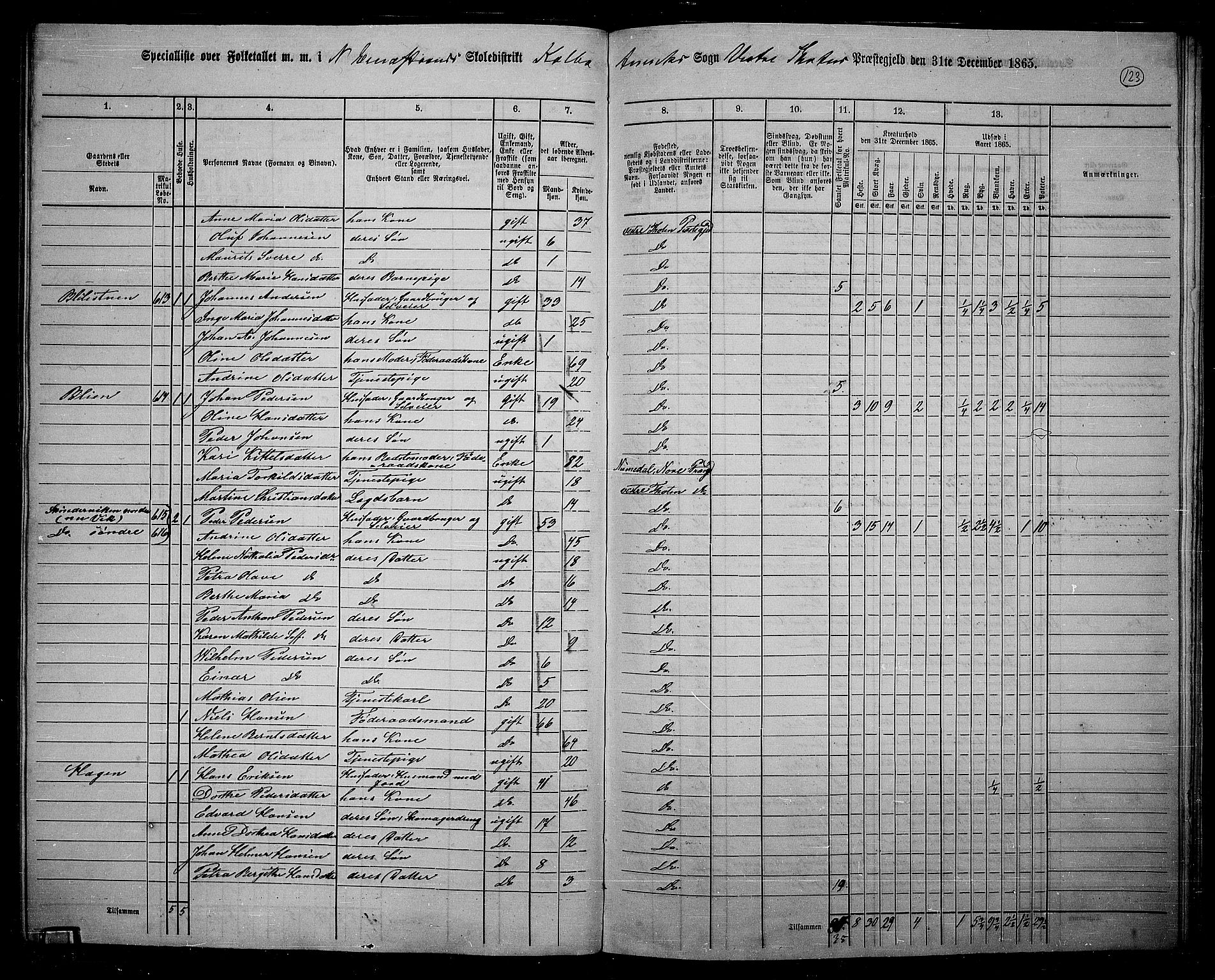 RA, 1865 census for Vestre Toten, 1865, p. 272