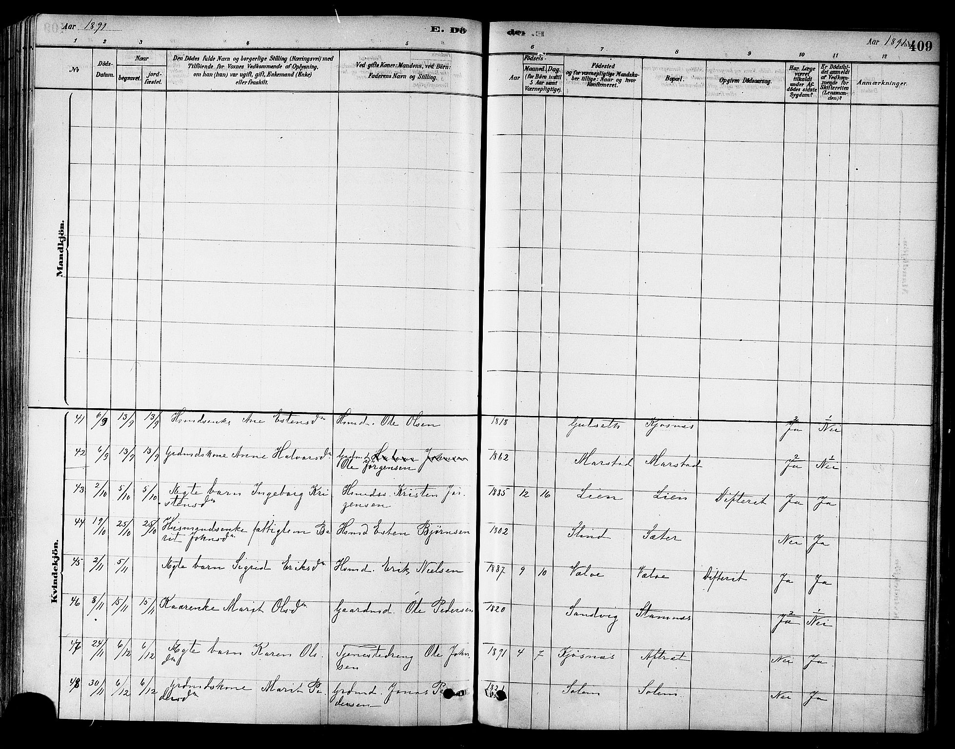 Ministerialprotokoller, klokkerbøker og fødselsregistre - Sør-Trøndelag, AV/SAT-A-1456/695/L1148: Parish register (official) no. 695A08, 1878-1891, p. 409