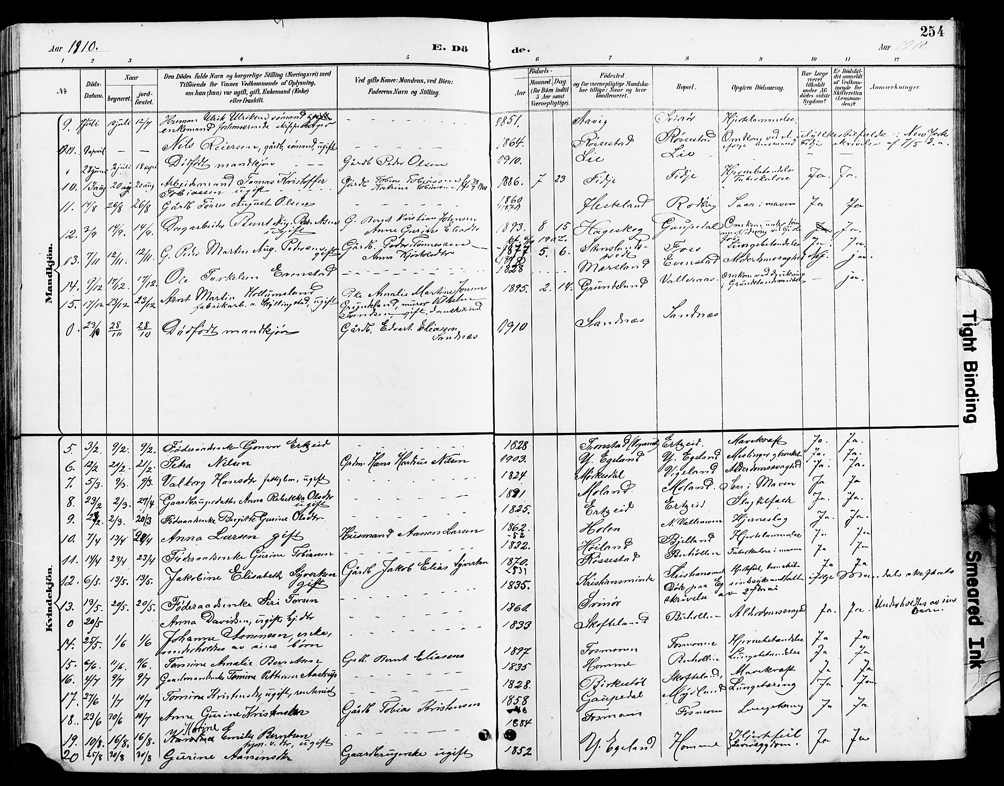 Sør-Audnedal sokneprestkontor, AV/SAK-1111-0039/F/Fb/Fbb/L0006: Parish register (copy) no. B 6, 1893-1915, p. 254