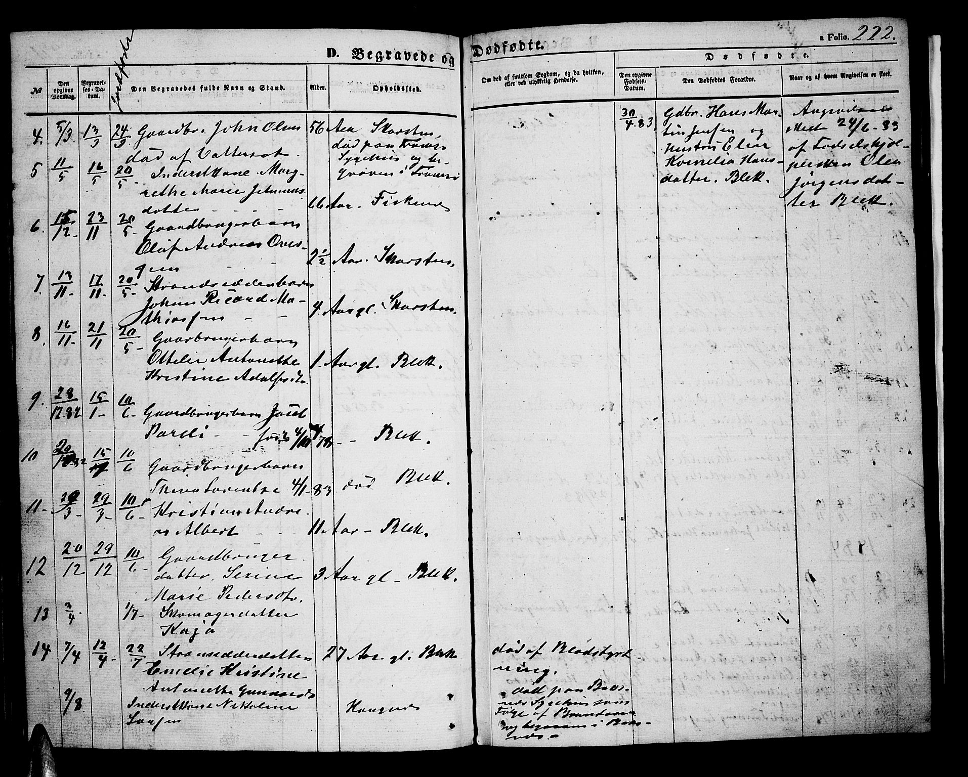 Ministerialprotokoller, klokkerbøker og fødselsregistre - Nordland, SAT/A-1459/899/L1447: Parish register (copy) no. 899C02, 1855-1886, p. 222