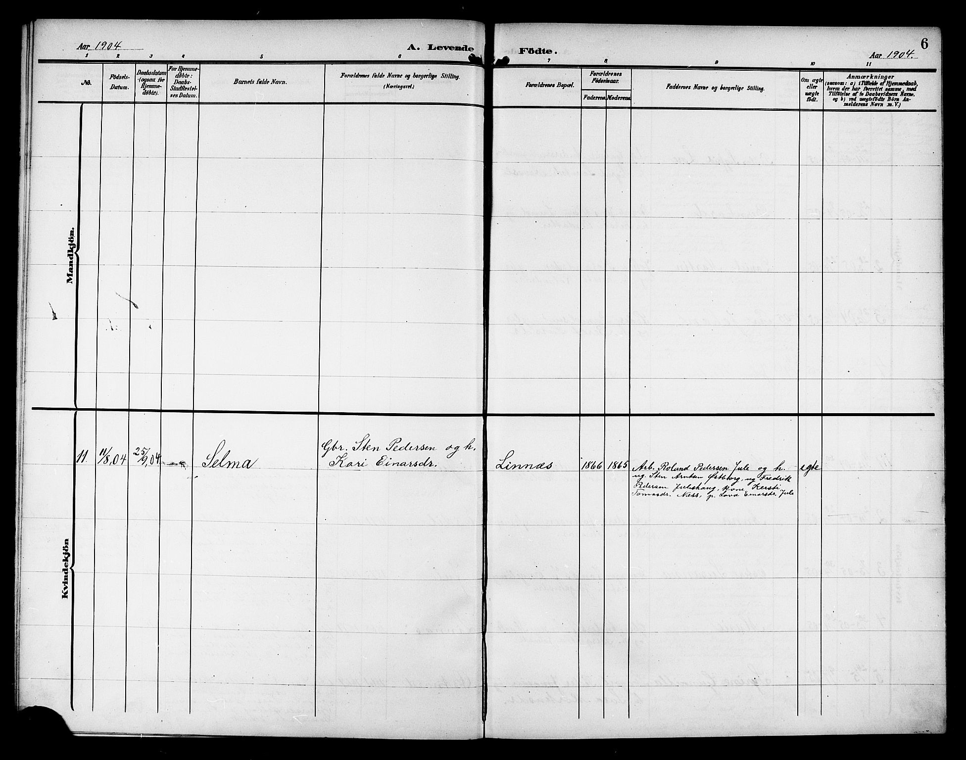 Ministerialprotokoller, klokkerbøker og fødselsregistre - Nord-Trøndelag, AV/SAT-A-1458/757/L0506: Parish register (copy) no. 757C01, 1904-1922, p. 6