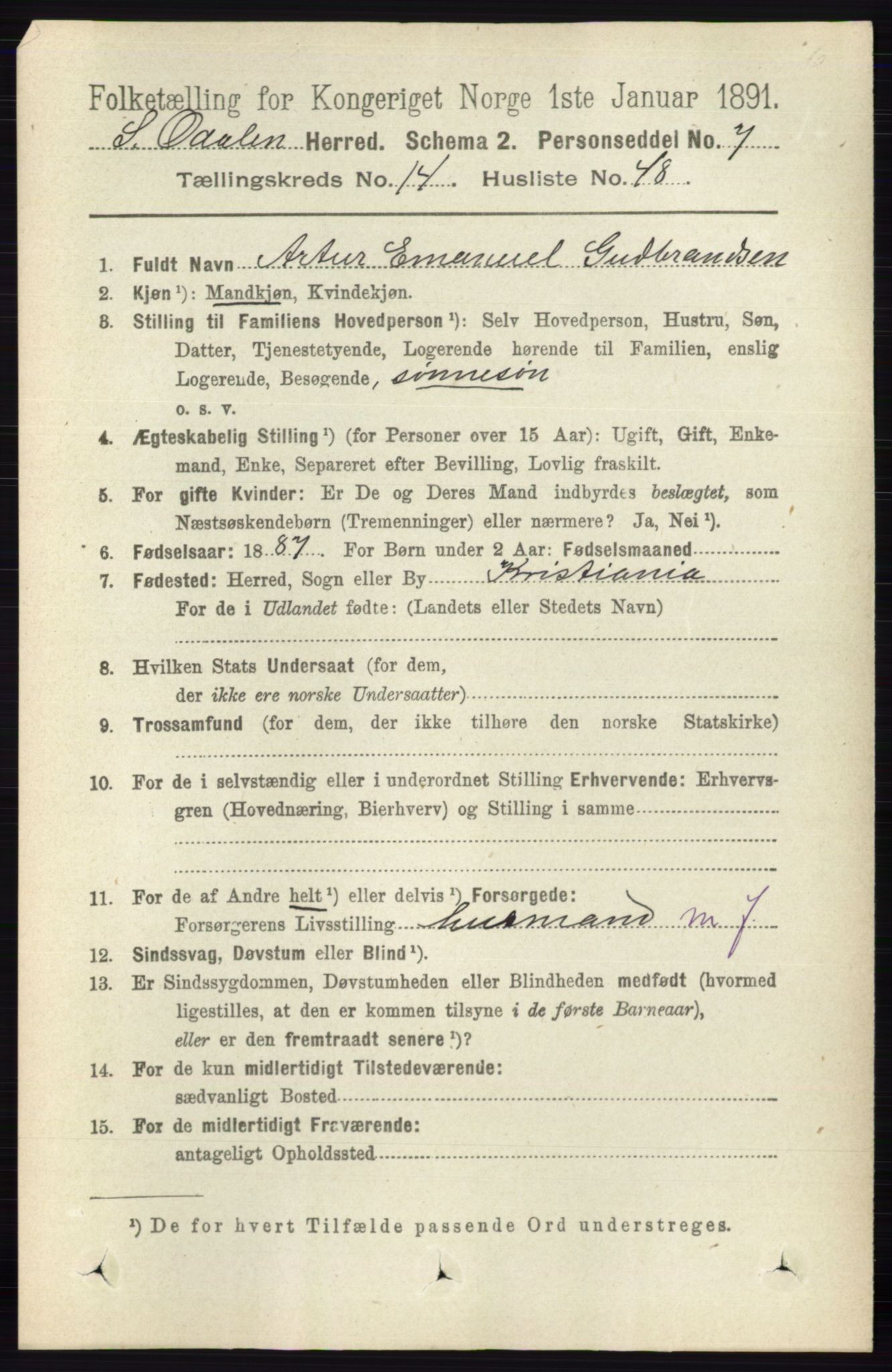 RA, 1891 census for 0419 Sør-Odal, 1891, p. 6339