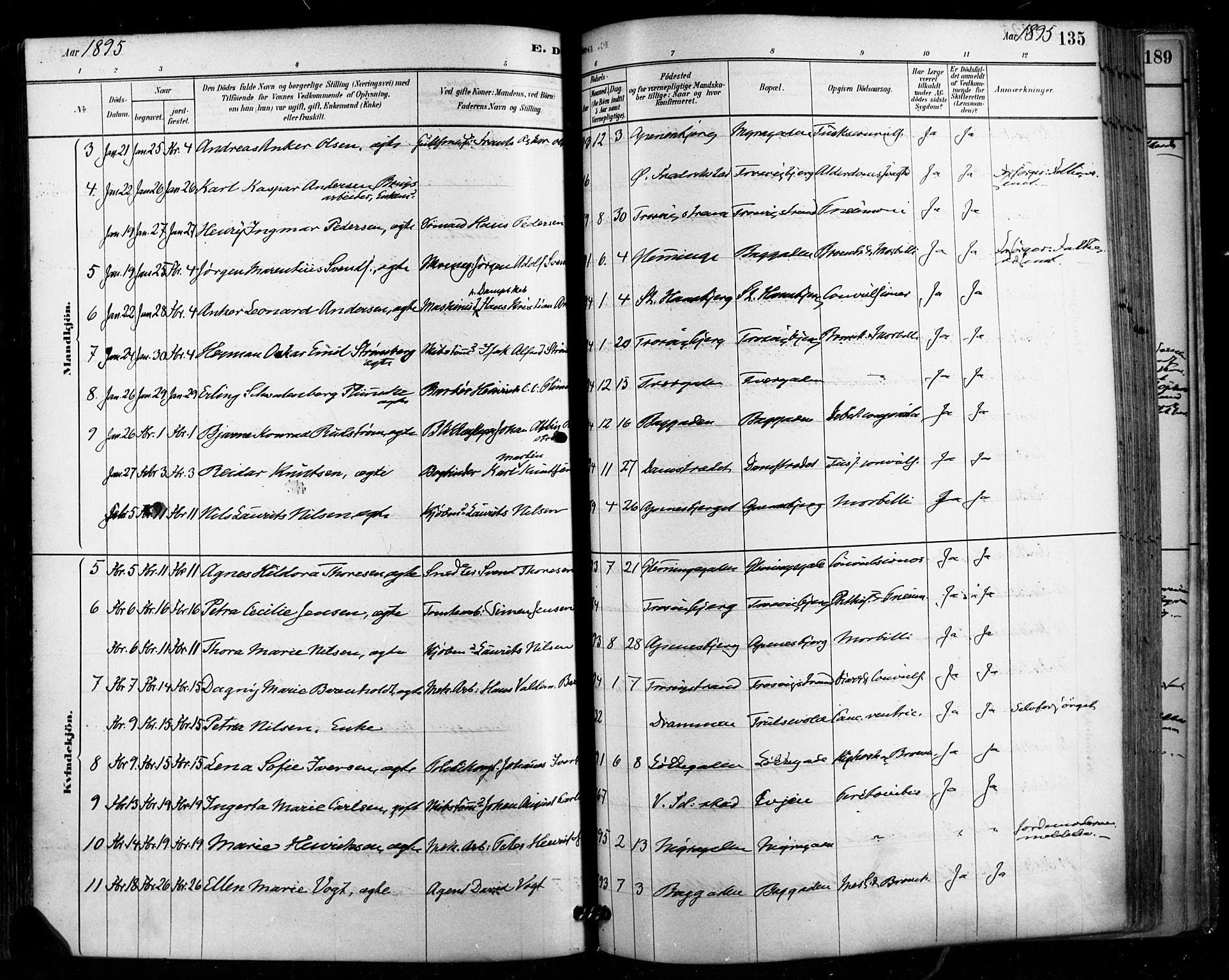 Fredrikstad domkirkes prestekontor Kirkebøker, AV/SAO-A-10906/F/Fa/L0003: Parish register (official) no. 3, 1878-1904, p. 135