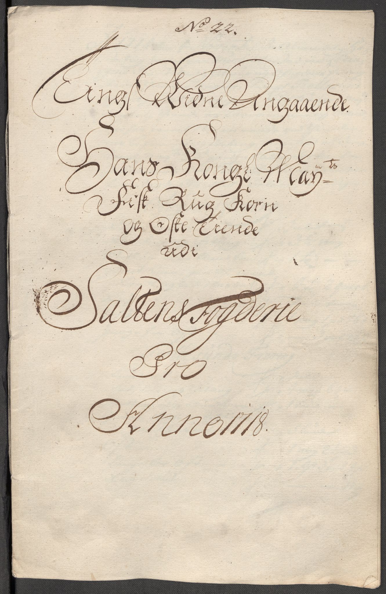 Rentekammeret inntil 1814, Reviderte regnskaper, Fogderegnskap, AV/RA-EA-4092/R66/L4588: Fogderegnskap Salten, 1718, p. 287