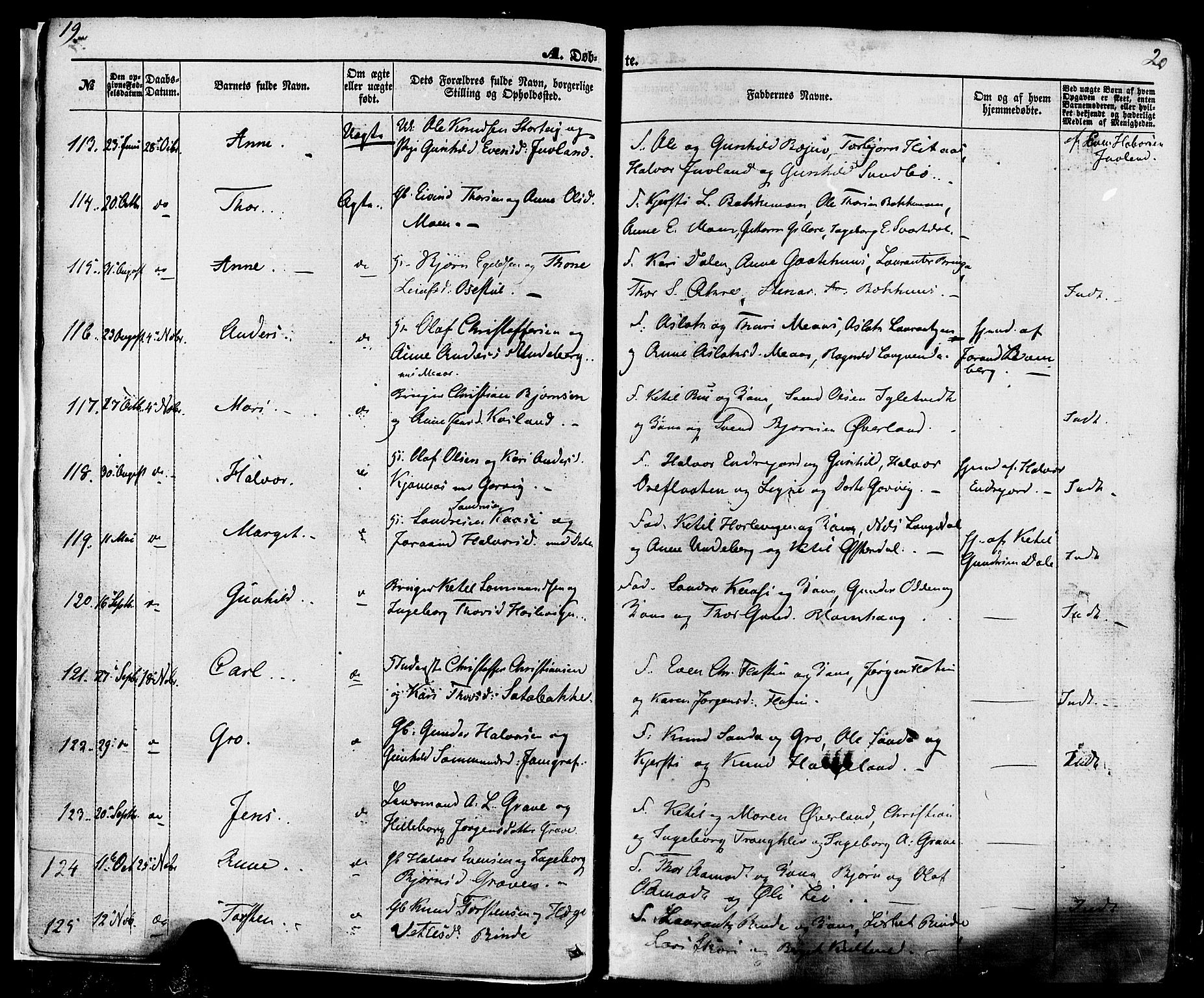 Seljord kirkebøker, SAKO/A-20/F/Fa/L0013: Parish register (official) no. I 13, 1866-1876, p. 19-20