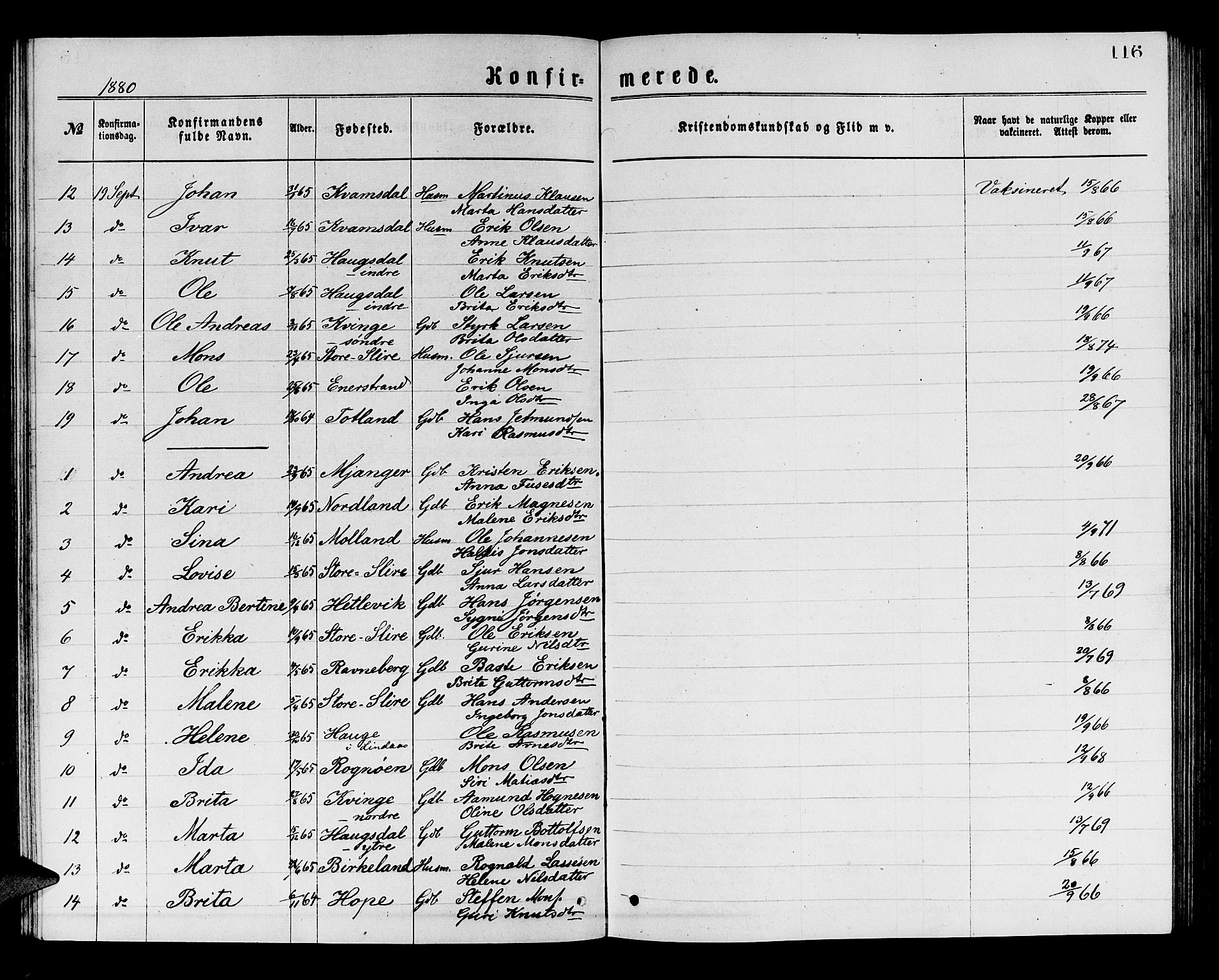 Masfjorden Sokneprestembete, SAB/A-77001: Parish register (copy) no. A 2, 1876-1891, p. 116