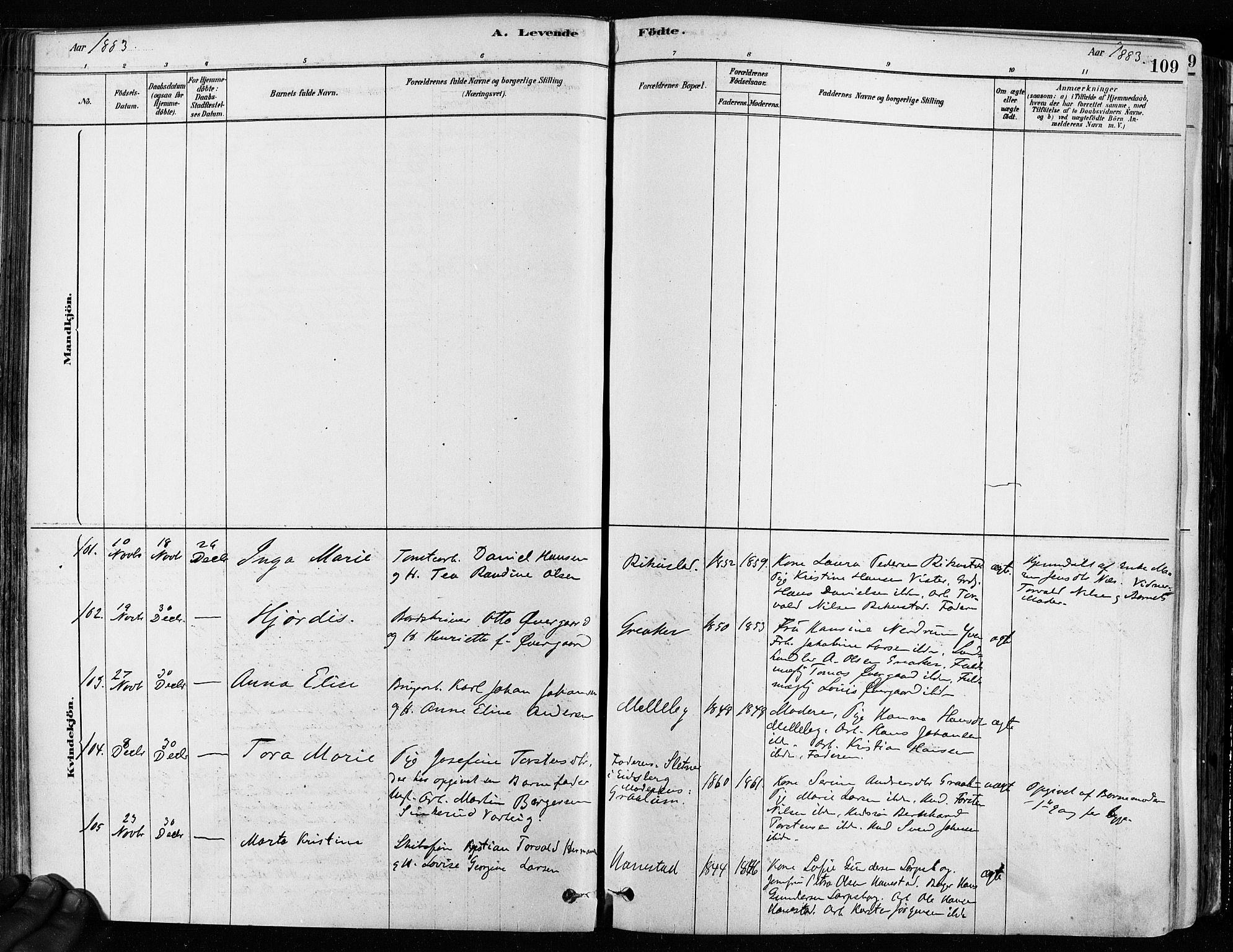 Tune prestekontor Kirkebøker, AV/SAO-A-2007/F/Fa/L0017: Parish register (official) no. 17, 1878-1887, p. 109