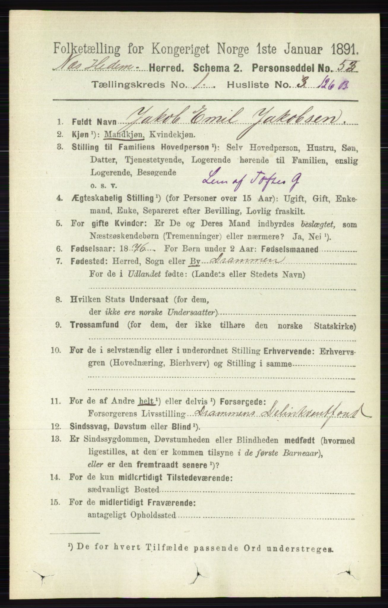 RA, 1891 census for 0411 Nes, 1891, p. 960