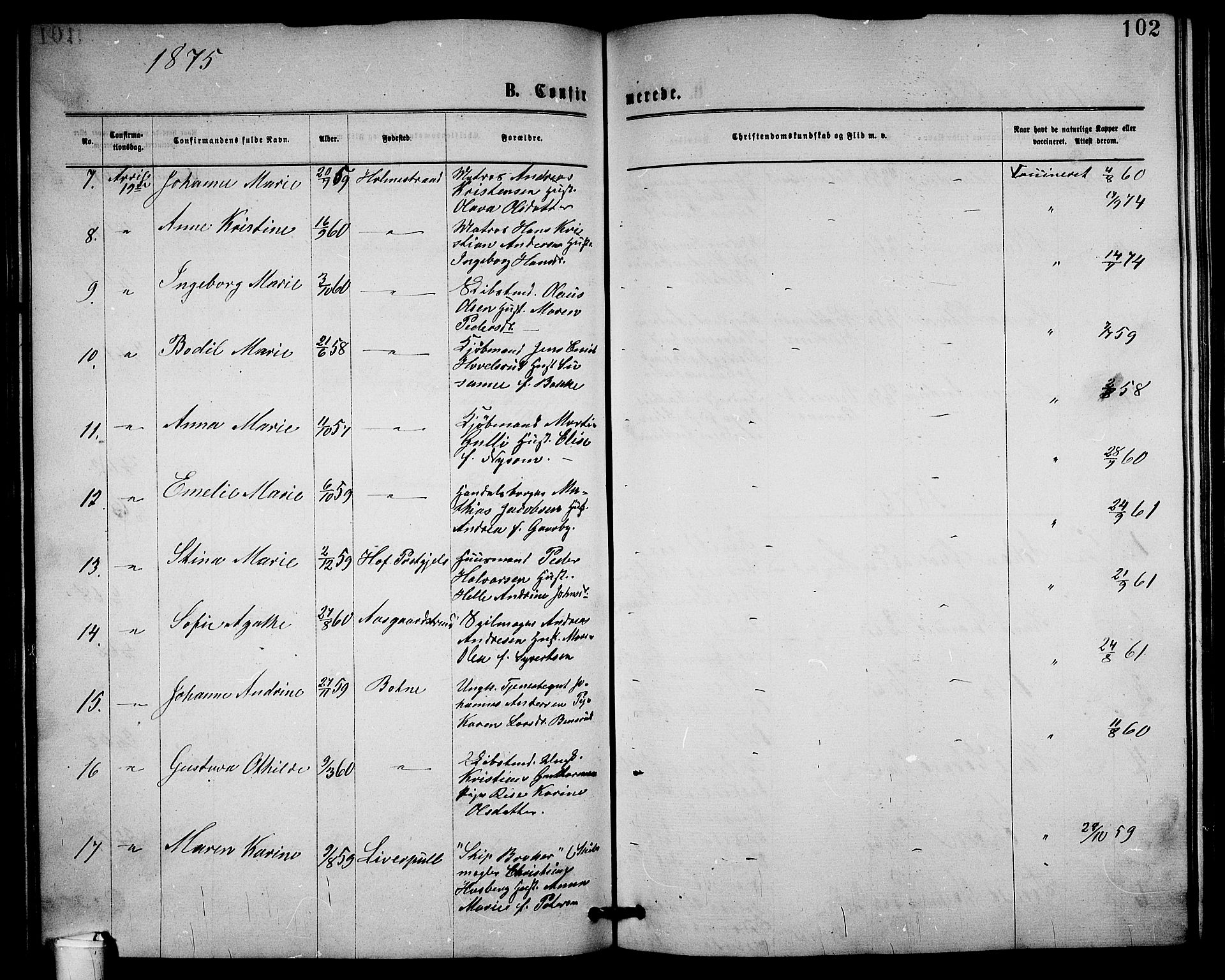 Holmestrand kirkebøker, AV/SAKO-A-346/G/Ga/L0004: Parish register (copy) no. 4, 1874-1888, p. 102