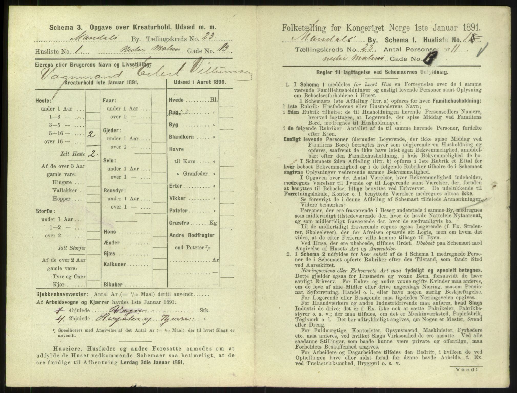 RA, 1891 census for 1002 Mandal, 1891, p. 1017