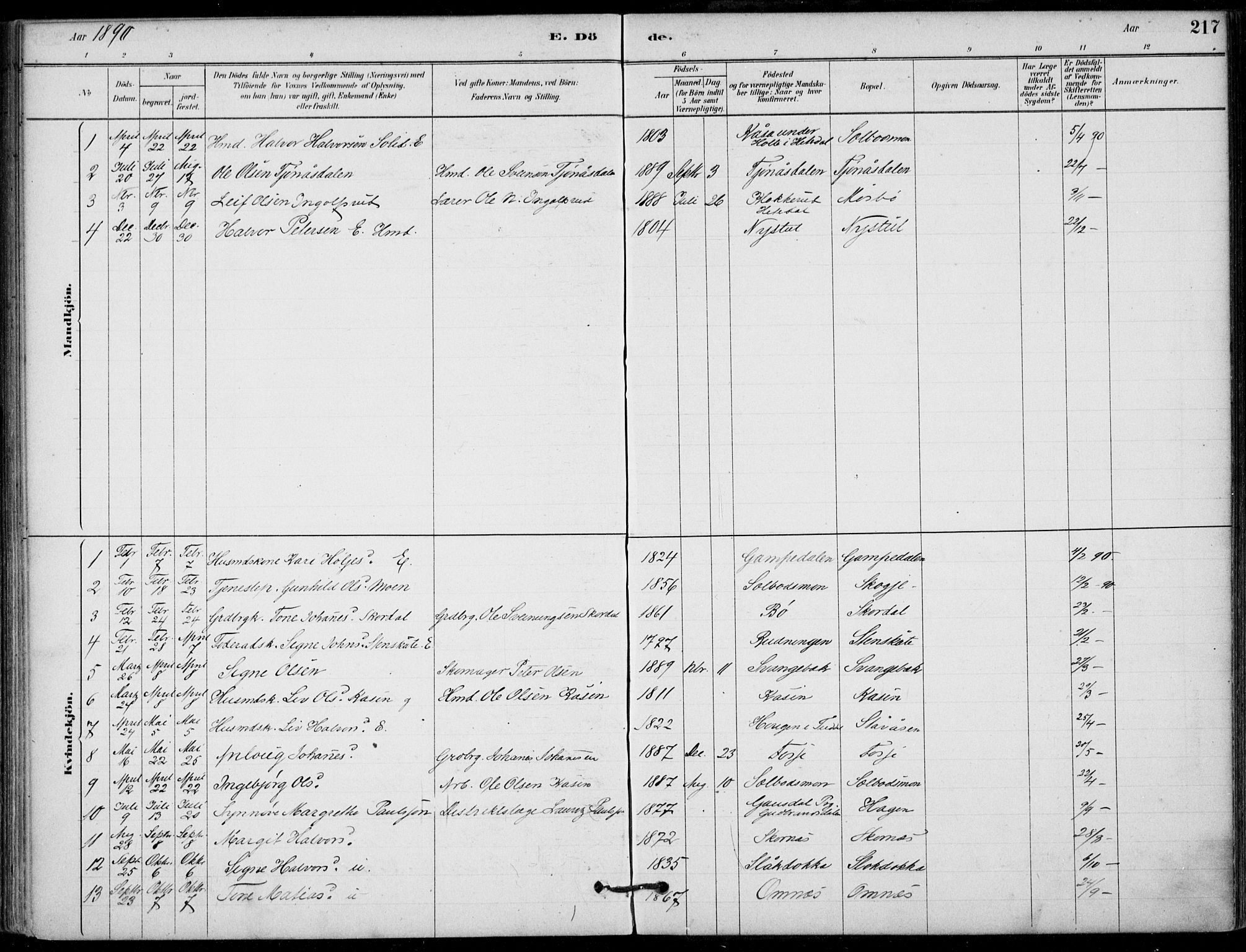 Hjartdal kirkebøker, SAKO/A-270/F/Fb/L0002: Parish register (official) no. II 2, 1880-1932, p. 217