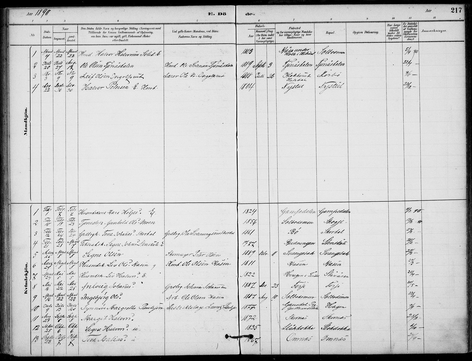 Hjartdal kirkebøker, AV/SAKO-A-270/F/Fb/L0002: Parish register (official) no. II 2, 1880-1932, p. 217