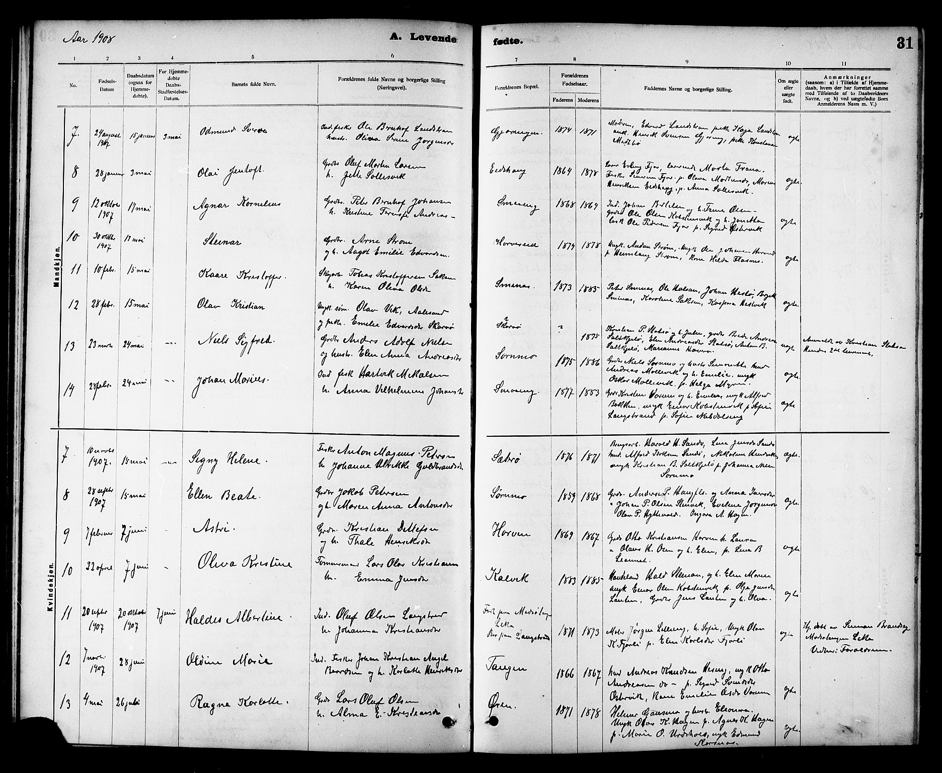 Ministerialprotokoller, klokkerbøker og fødselsregistre - Nord-Trøndelag, AV/SAT-A-1458/780/L0652: Parish register (copy) no. 780C04, 1899-1911, p. 31