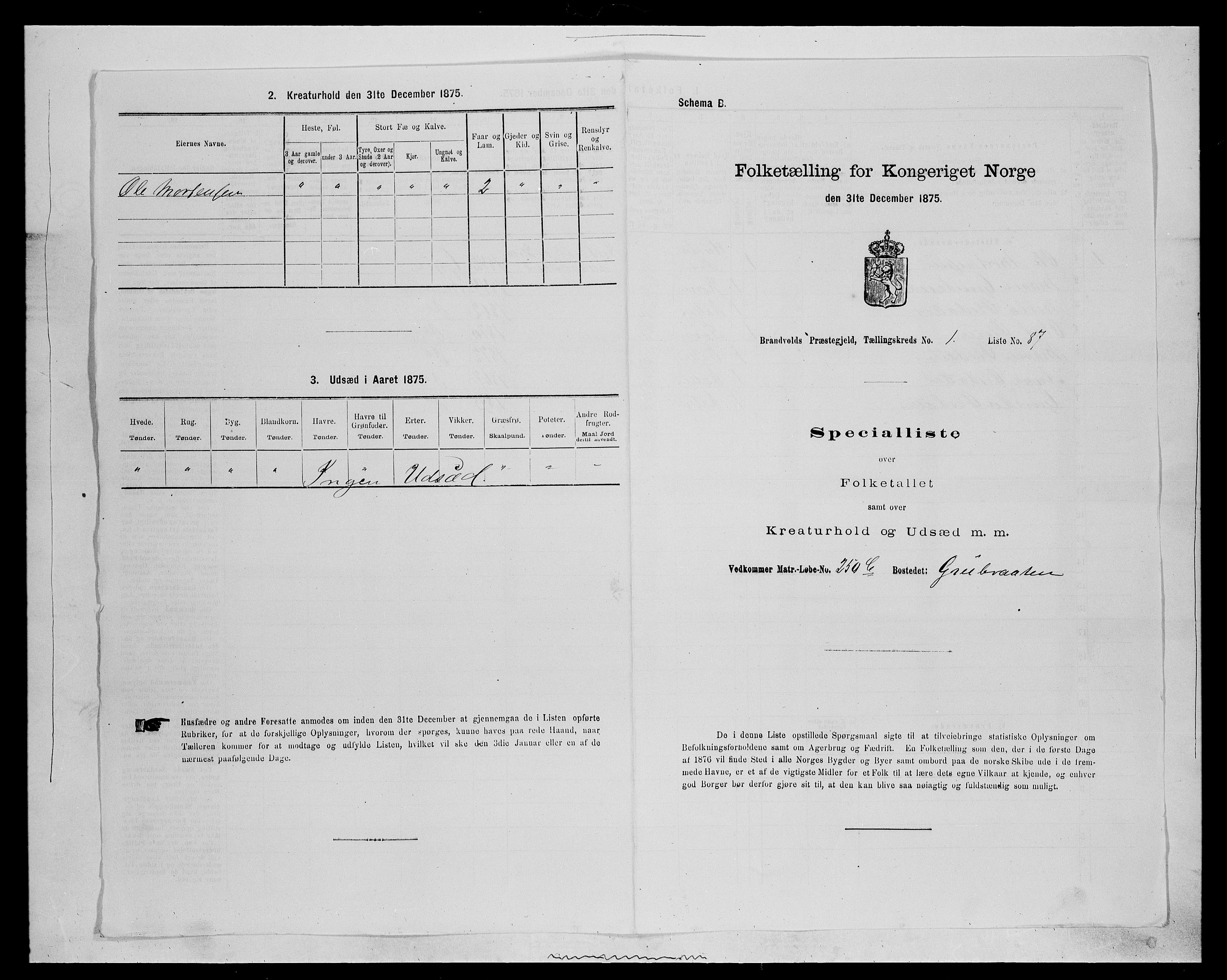 SAH, 1875 census for 0422P Brandval, 1875, p. 251