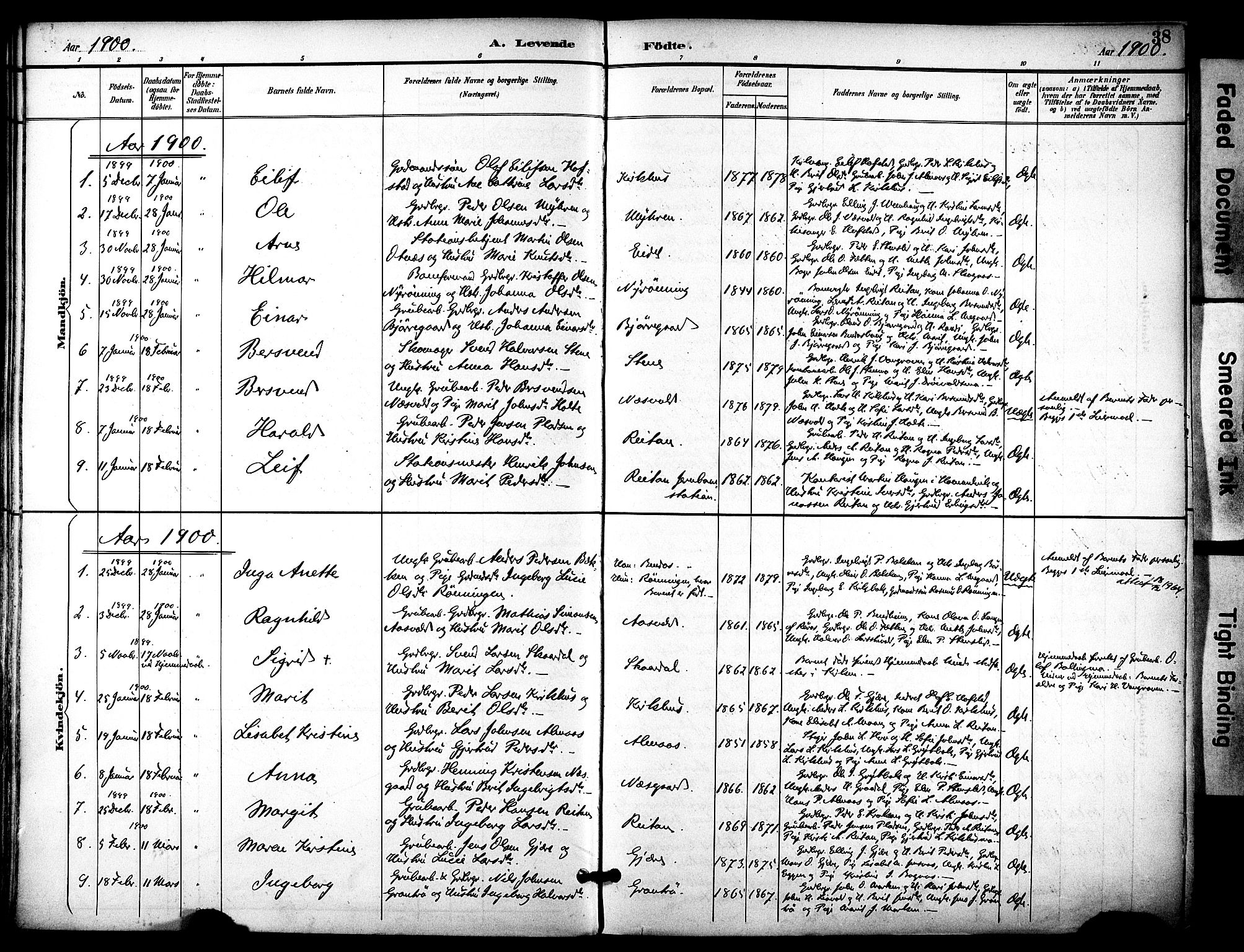 Ministerialprotokoller, klokkerbøker og fødselsregistre - Sør-Trøndelag, AV/SAT-A-1456/686/L0984: Parish register (official) no. 686A02, 1891-1906, p. 38