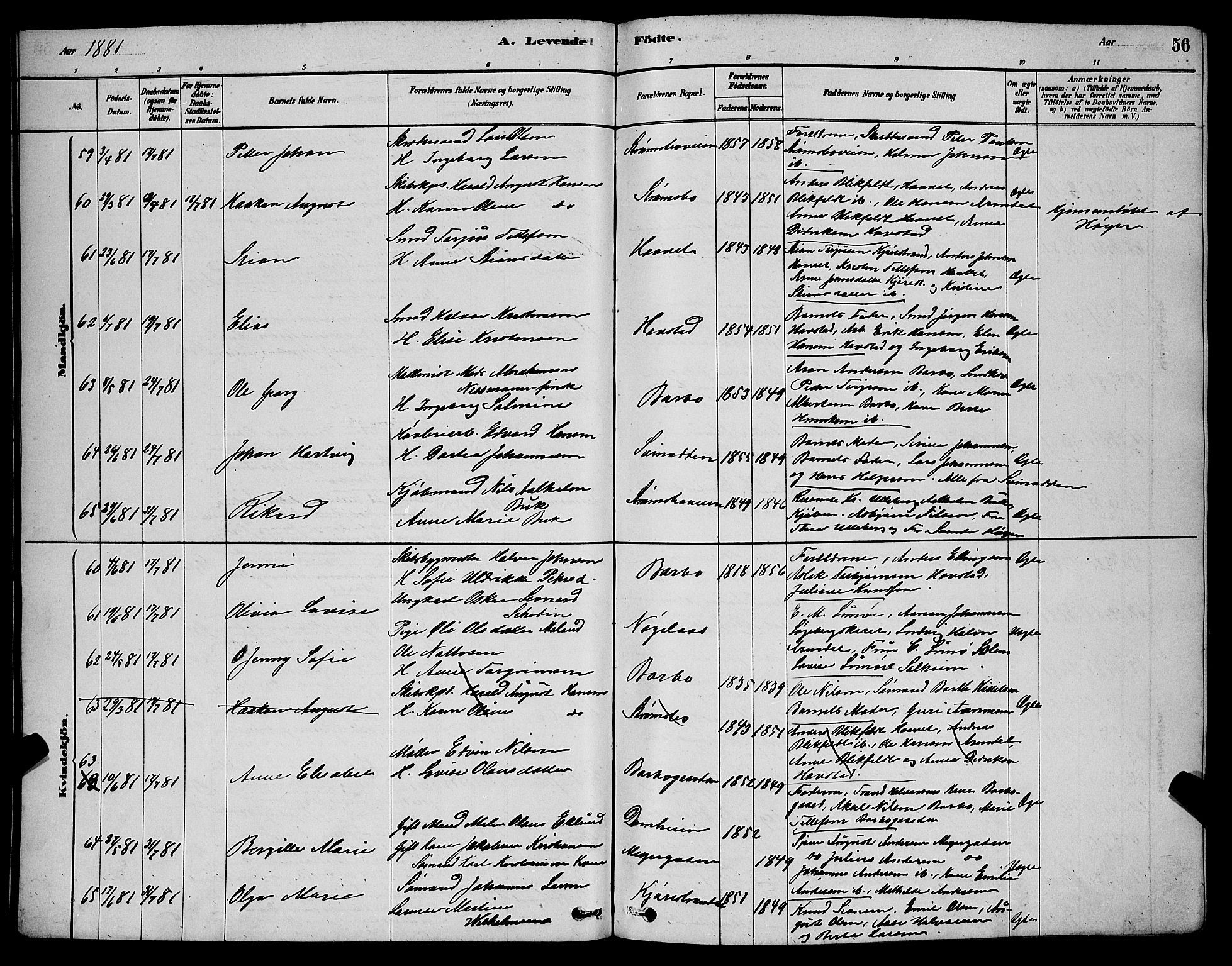 Barbu sokneprestkontor, AV/SAK-1111-0003/F/Fb/L0001: Parish register (copy) no. B 1, 1878-1890, p. 56