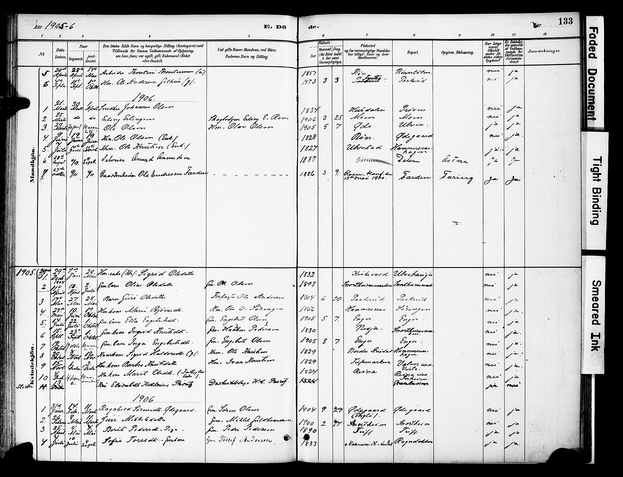 Vestre Slidre prestekontor, SAH/PREST-136/H/Ha/Haa/L0006: Parish register (official) no. 6, 1881-1912, p. 133