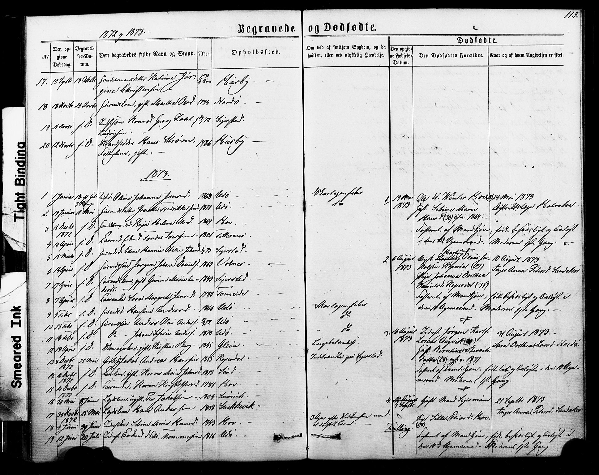 Ministerialprotokoller, klokkerbøker og fødselsregistre - Nordland, AV/SAT-A-1459/835/L0524: Parish register (official) no. 835A02, 1865-1880, p. 113