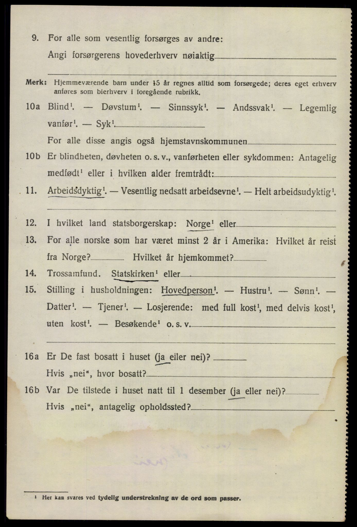 SAKO, 1920 census for Nes (Buskerud), 1920, p. 1309