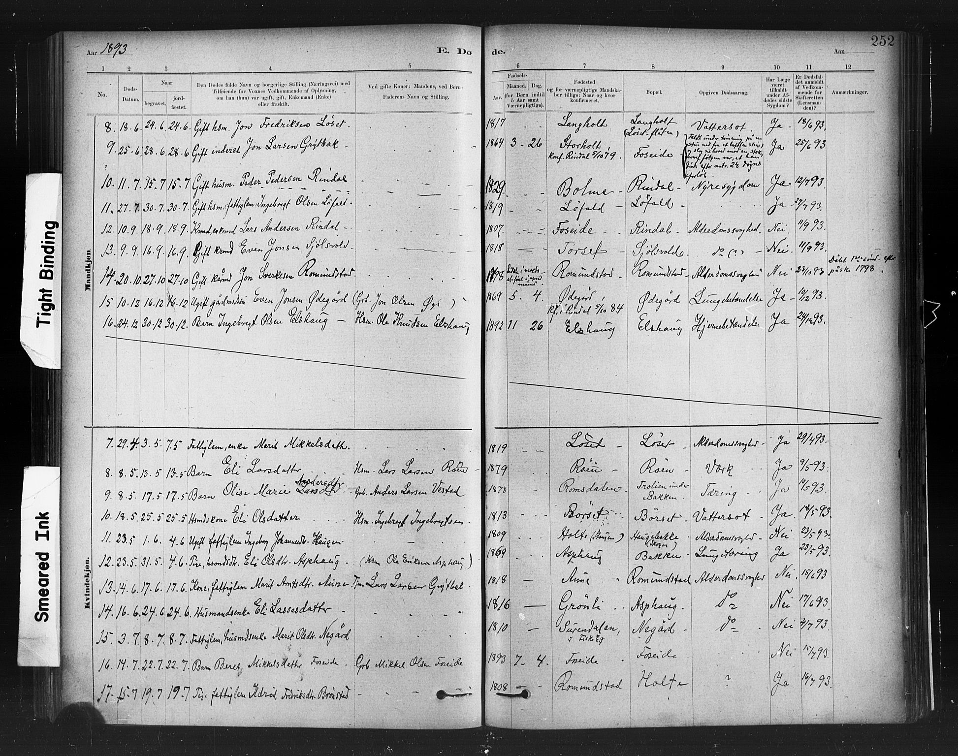 Ministerialprotokoller, klokkerbøker og fødselsregistre - Møre og Romsdal, AV/SAT-A-1454/598/L1069: Parish register (official) no. 598A03, 1882-1895, p. 252