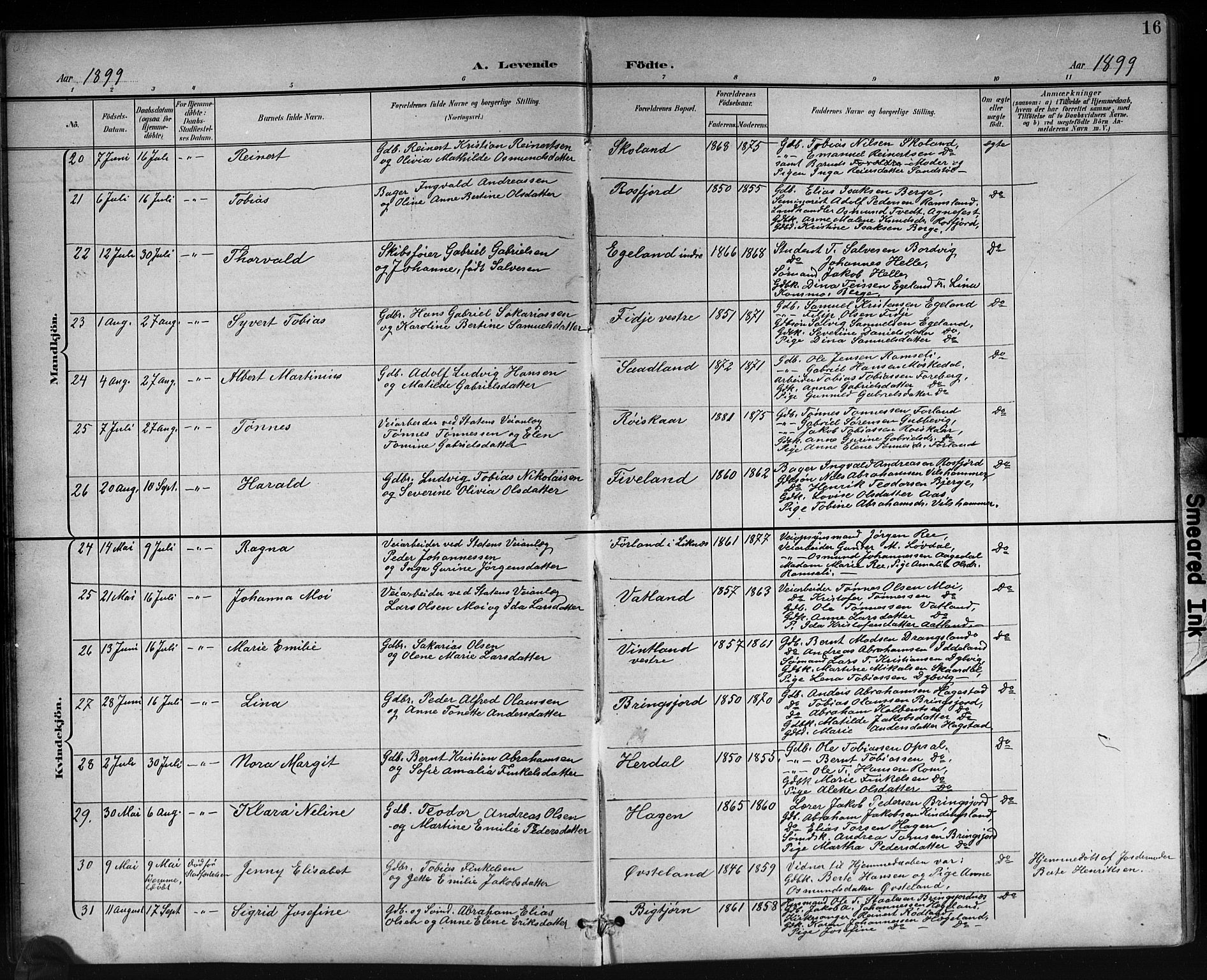 Lyngdal sokneprestkontor, AV/SAK-1111-0029/F/Fb/Fbc/L0005: Parish register (copy) no. B 5, 1897-1913, p. 16