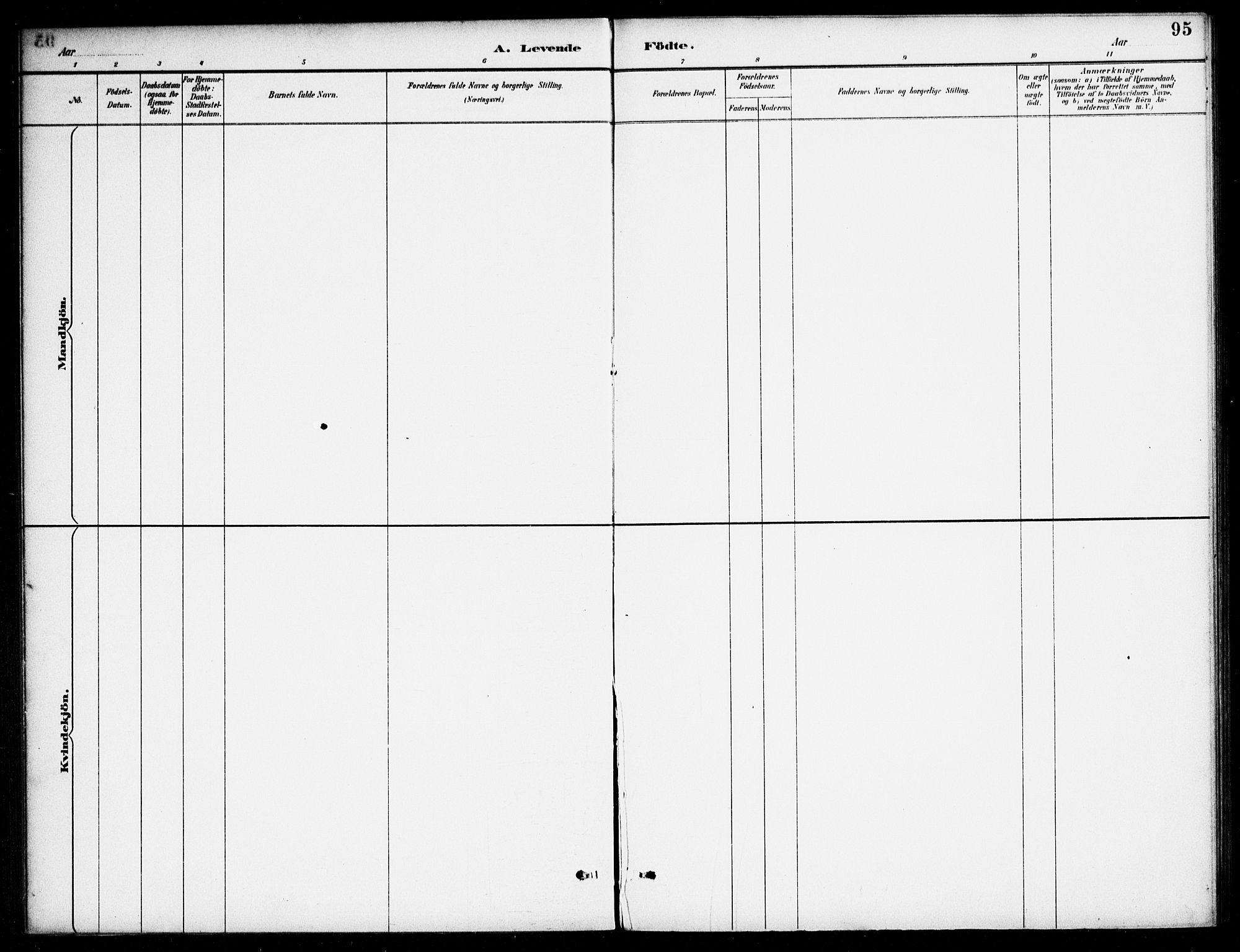 Bjelland sokneprestkontor, AV/SAK-1111-0005/F/Fa/Fab/L0004: Parish register (official) no. A 4, 1887-1920, p. 95