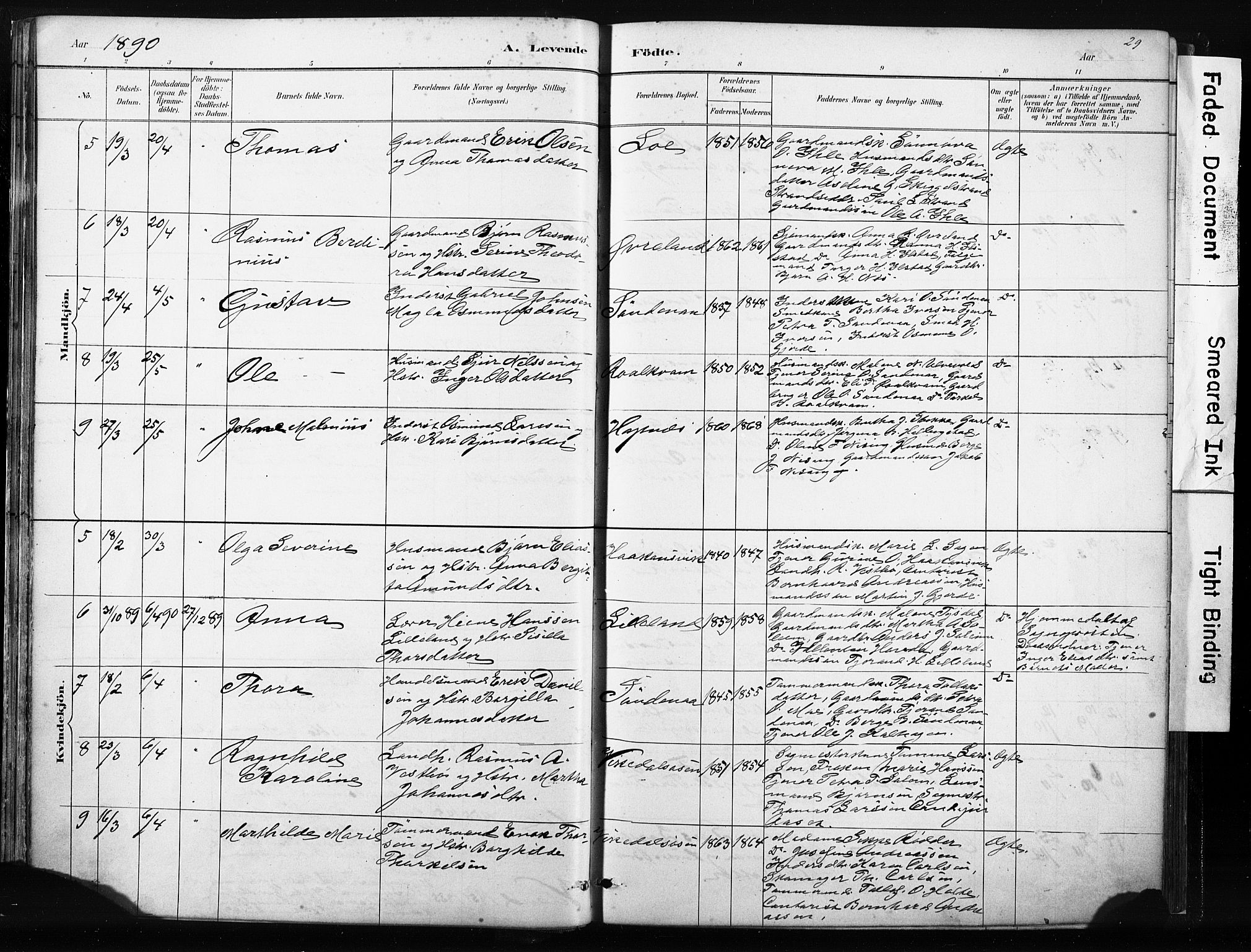 Vikedal sokneprestkontor, AV/SAST-A-101840/01/IV: Parish register (official) no. A 10, 1884-1907, p. 29