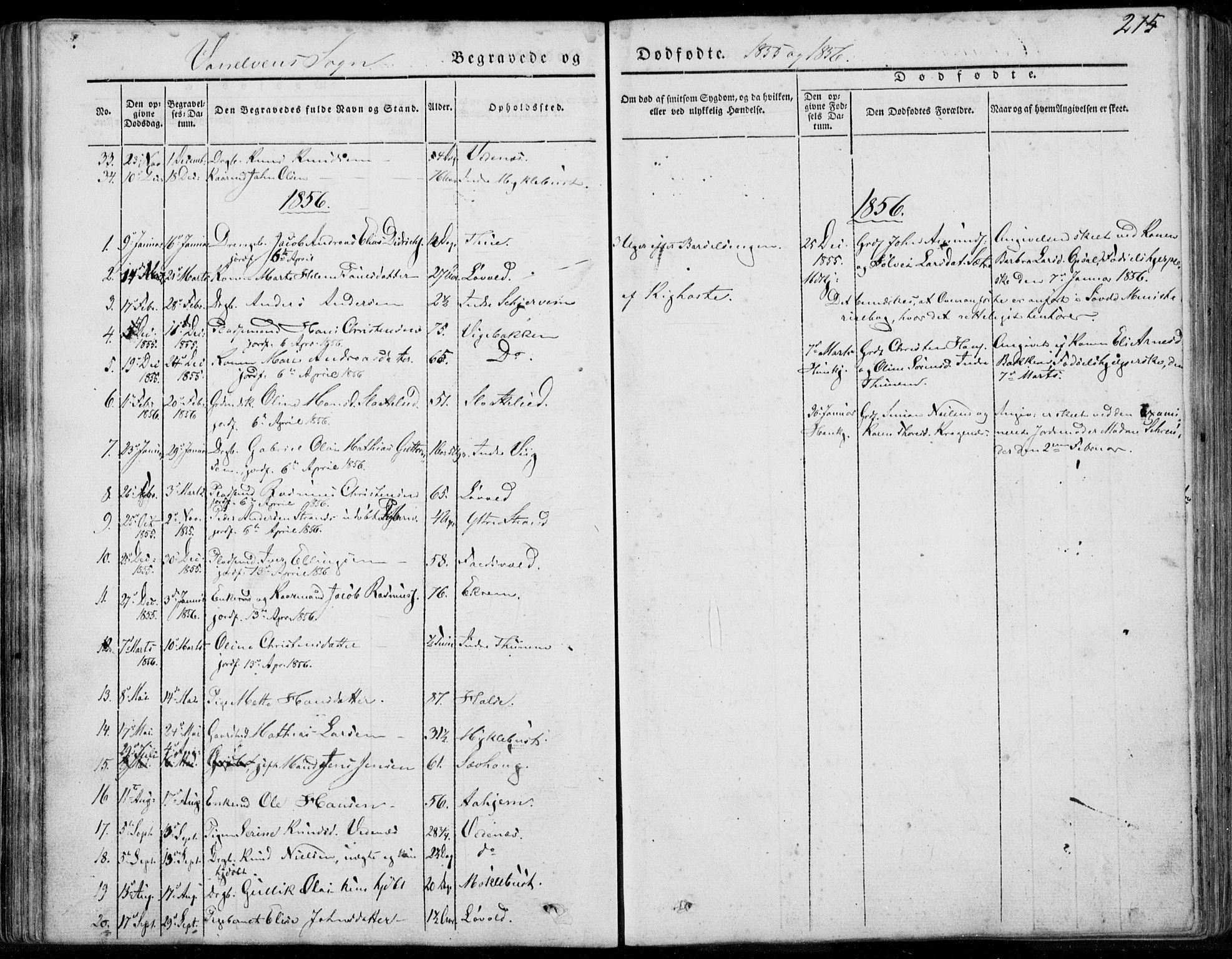 Ministerialprotokoller, klokkerbøker og fødselsregistre - Møre og Romsdal, AV/SAT-A-1454/501/L0006: Parish register (official) no. 501A06, 1844-1868, p. 215