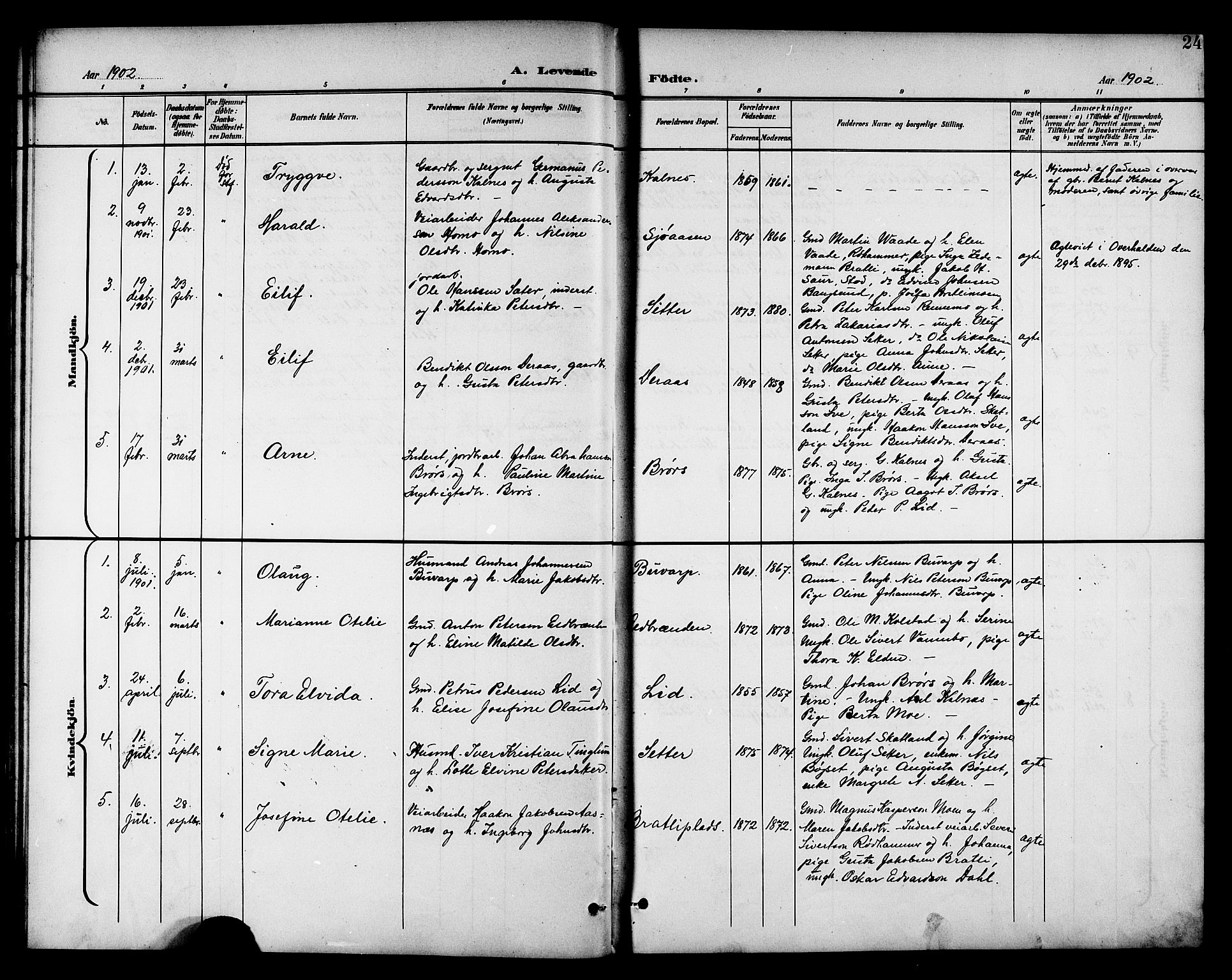 Ministerialprotokoller, klokkerbøker og fødselsregistre - Nord-Trøndelag, SAT/A-1458/742/L0412: Parish register (copy) no. 742C03, 1898-1910, p. 24