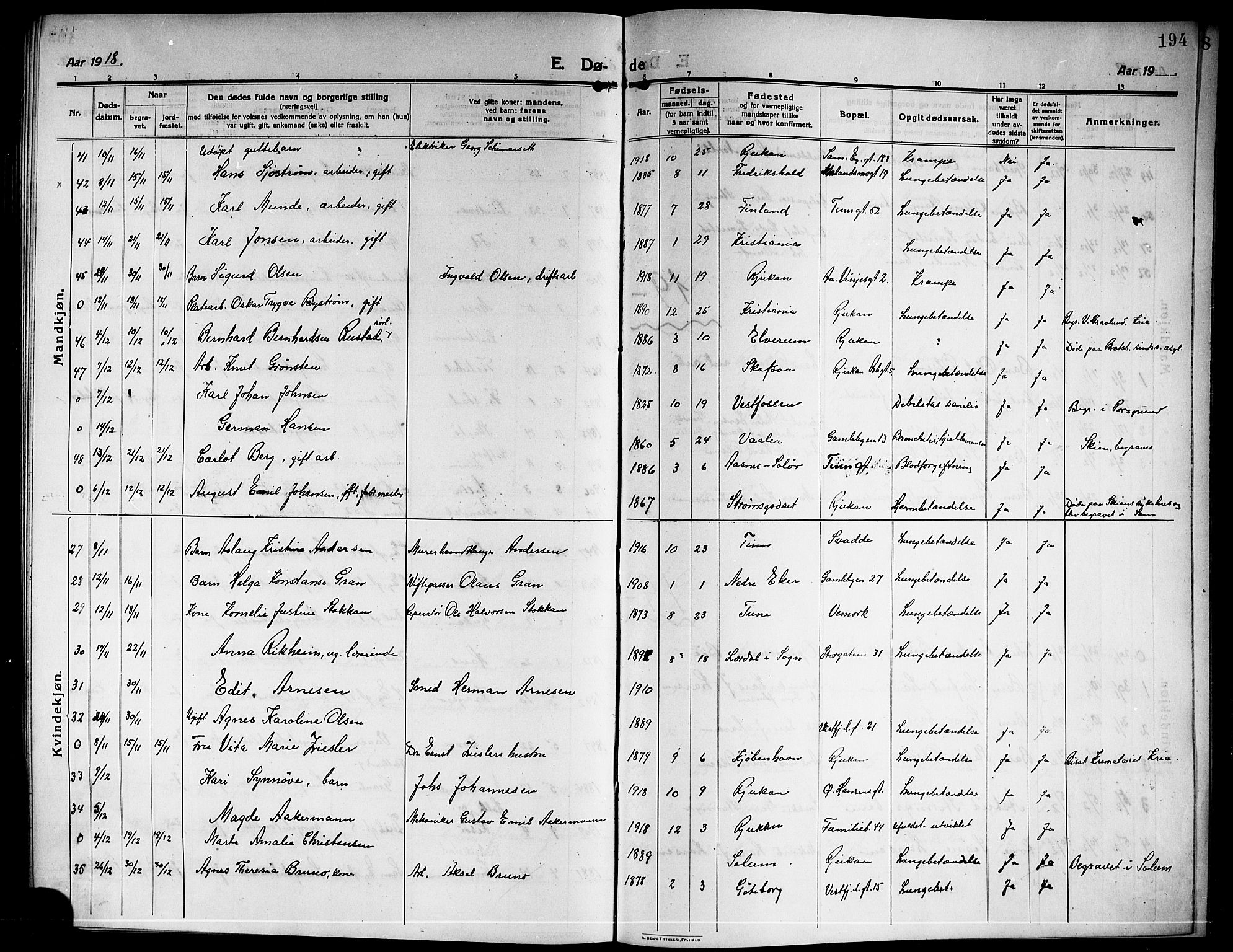 Rjukan kirkebøker, SAKO/A-294/G/Ga/L0002: Parish register (copy) no. 2, 1913-1920, p. 194