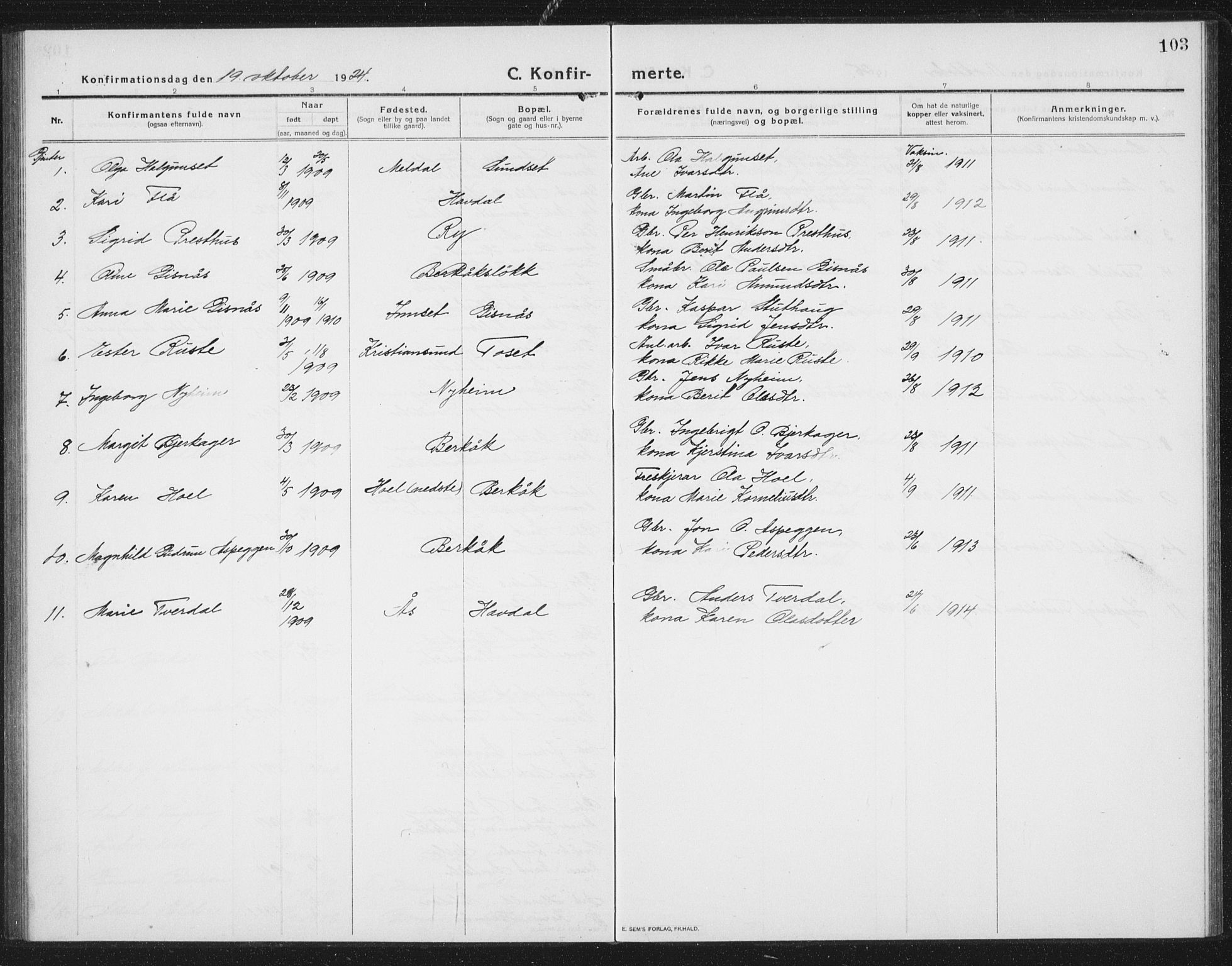 Ministerialprotokoller, klokkerbøker og fødselsregistre - Sør-Trøndelag, SAT/A-1456/675/L0888: Parish register (copy) no. 675C01, 1913-1935, p. 103