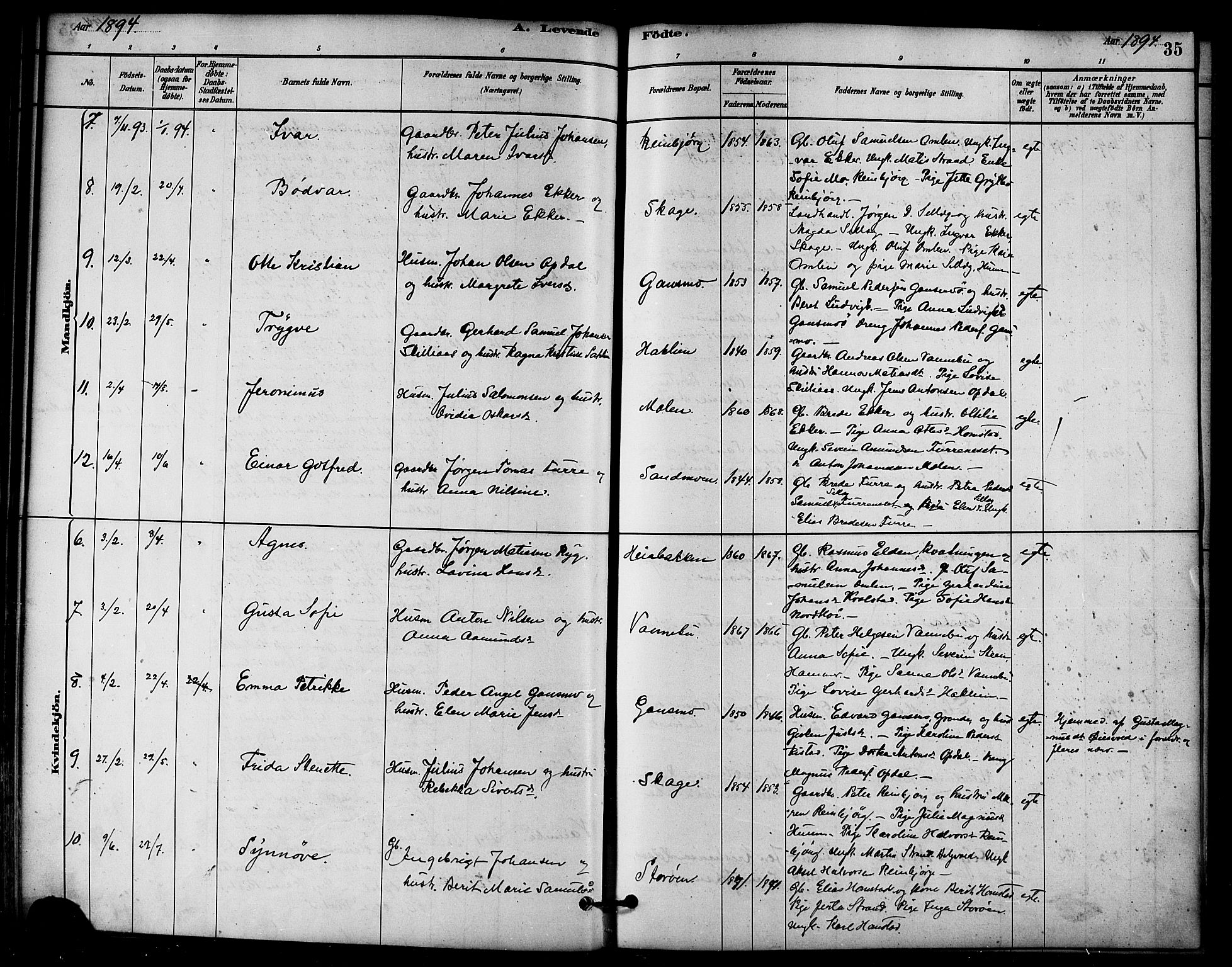 Ministerialprotokoller, klokkerbøker og fødselsregistre - Nord-Trøndelag, AV/SAT-A-1458/766/L0563: Parish register (official) no. 767A01, 1881-1899, p. 35