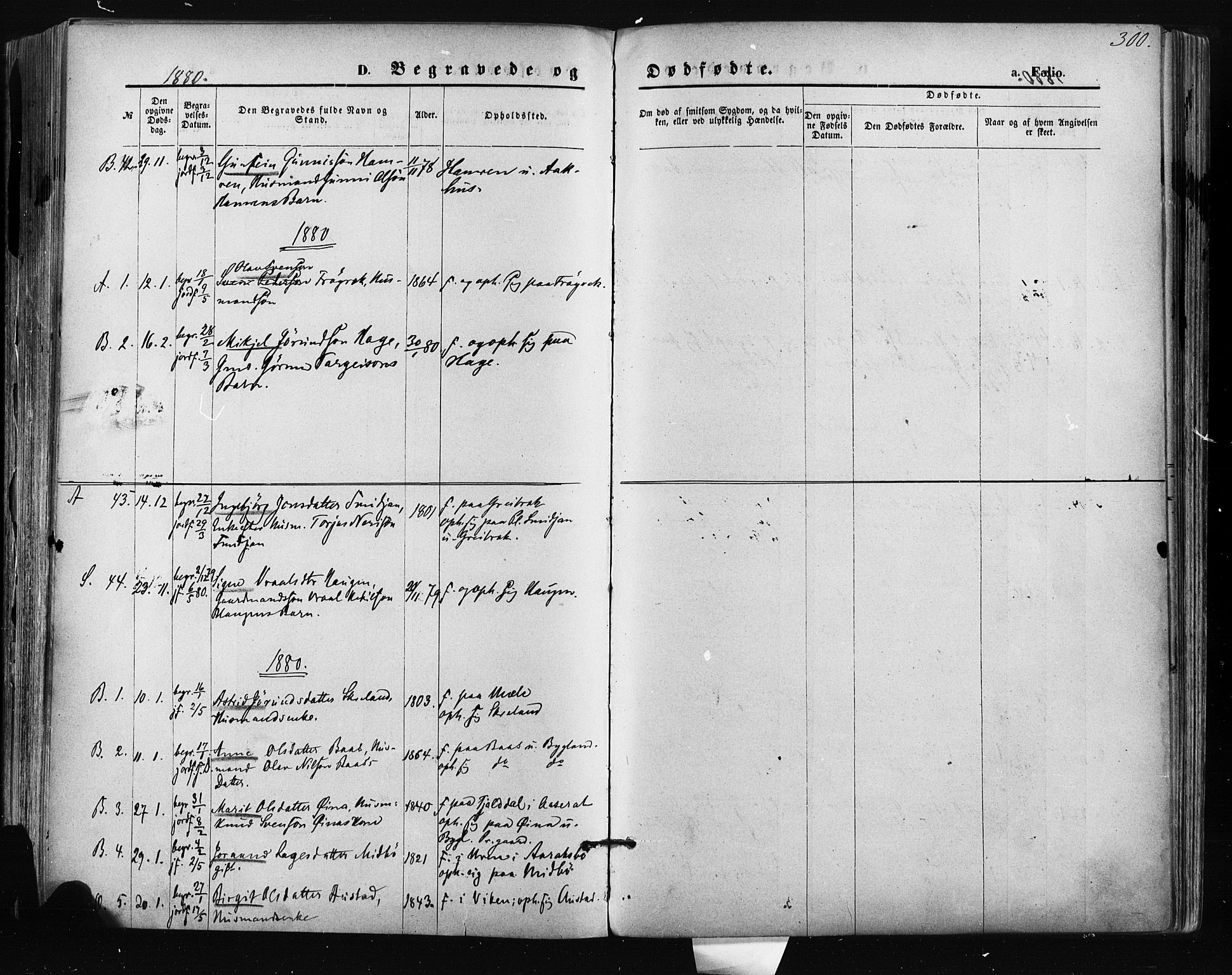 Bygland sokneprestkontor, AV/SAK-1111-0006/F/Fa/Fab/L0006: Parish register (official) no. A 6, 1873-1884, p. 300