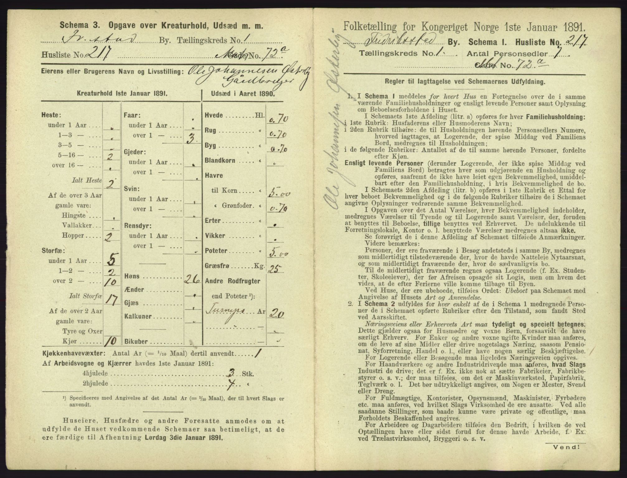 RA, 1891 census for 0103 Fredrikstad, 1891, p. 472