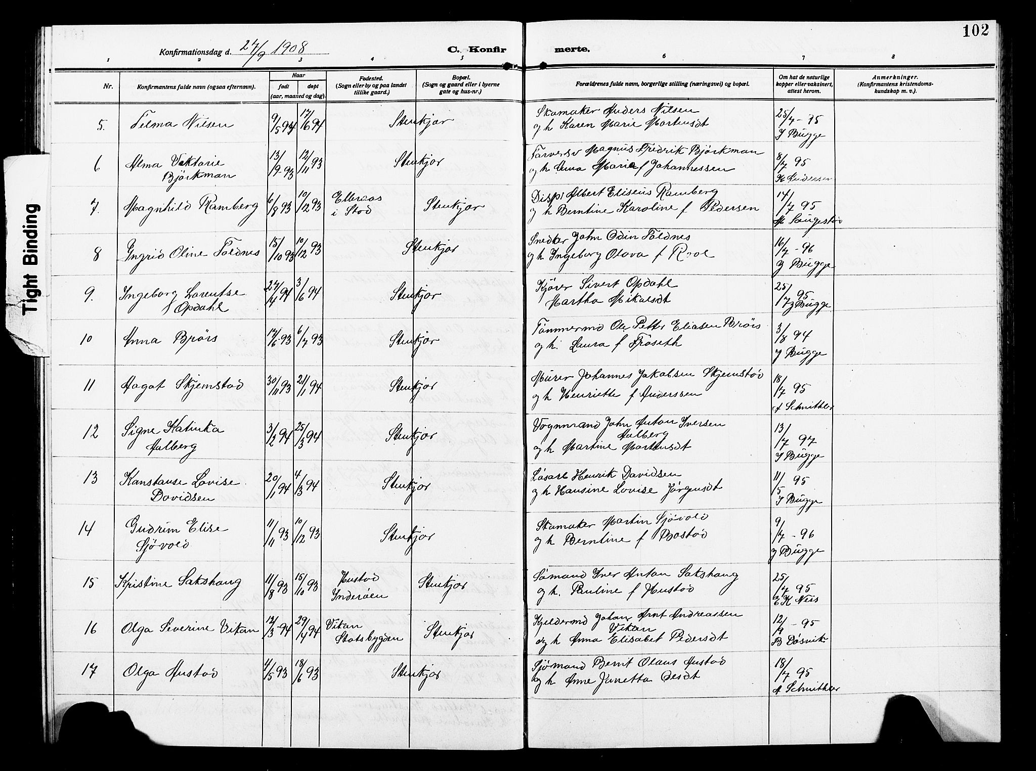 Ministerialprotokoller, klokkerbøker og fødselsregistre - Nord-Trøndelag, AV/SAT-A-1458/739/L0376: Parish register (copy) no. 739C04, 1908-1917, p. 102