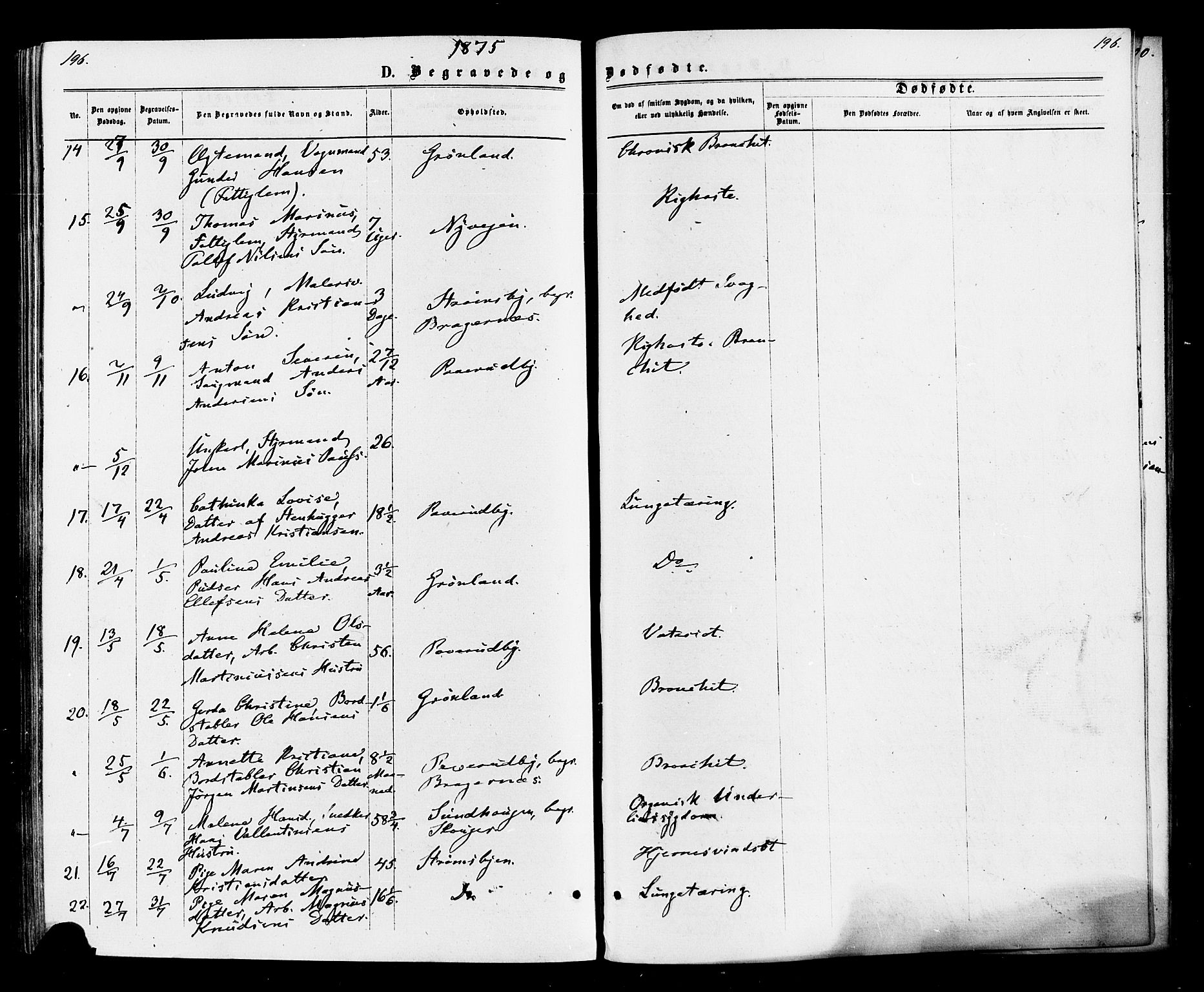 Strømsø kirkebøker, SAKO/A-246/F/Fa/L0020: Parish register (official) no. I 20, 1870-1878, p. 196