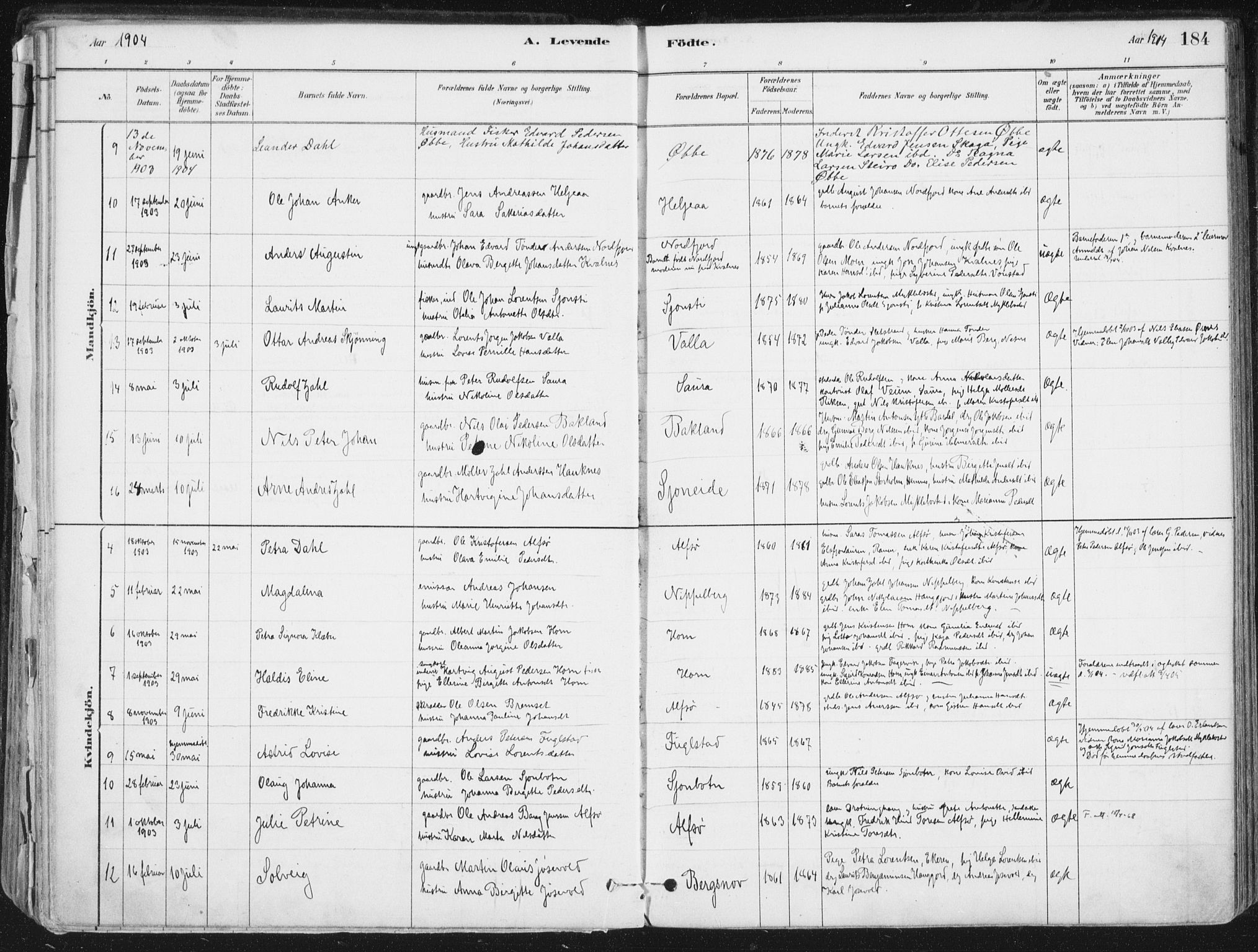 Ministerialprotokoller, klokkerbøker og fødselsregistre - Nordland, AV/SAT-A-1459/838/L0552: Parish register (official) no. 838A10, 1880-1910, p. 184