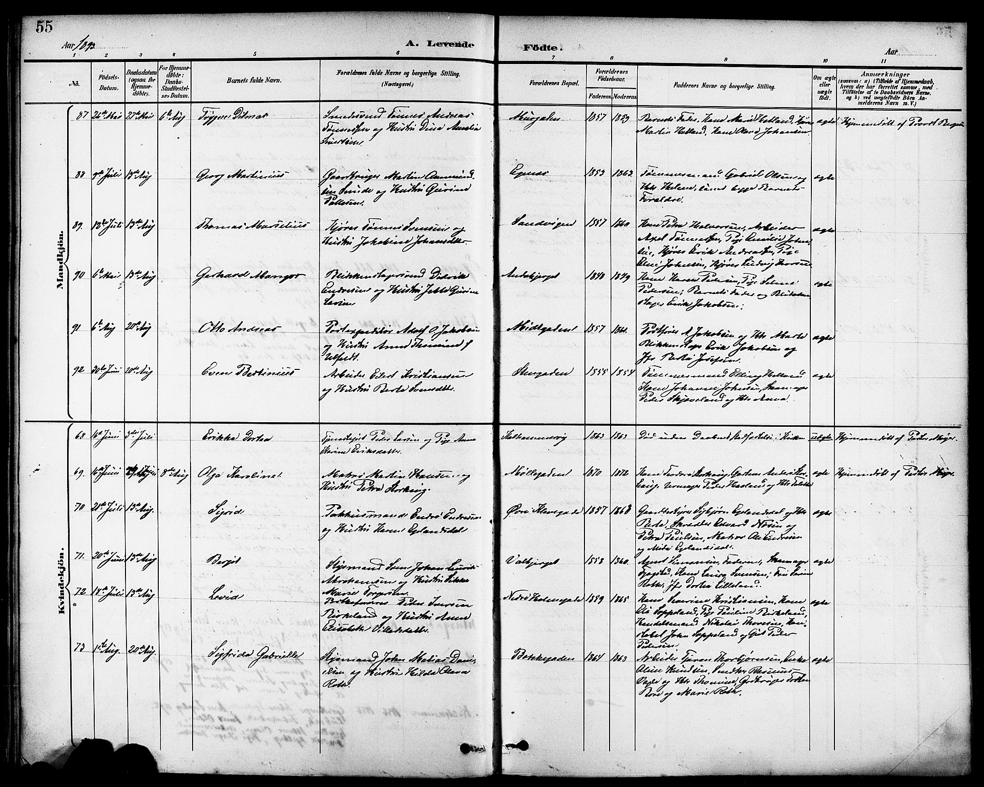 Domkirken sokneprestkontor, AV/SAST-A-101812/001/30/30BB/L0016: Parish register (copy) no. B 16, 1891-1902, p. 55