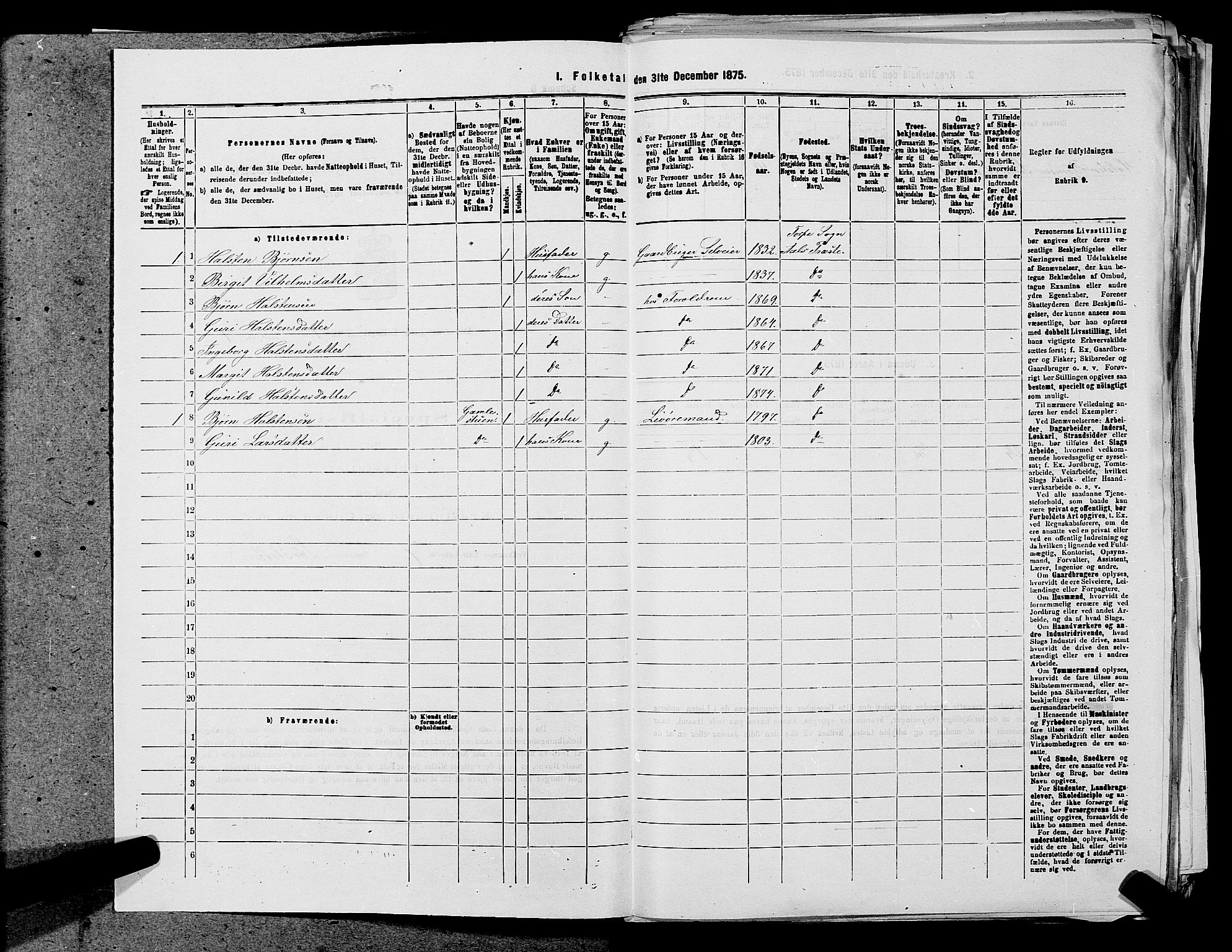 SAKO, 1875 census for 0619P Ål, 1875, p. 33