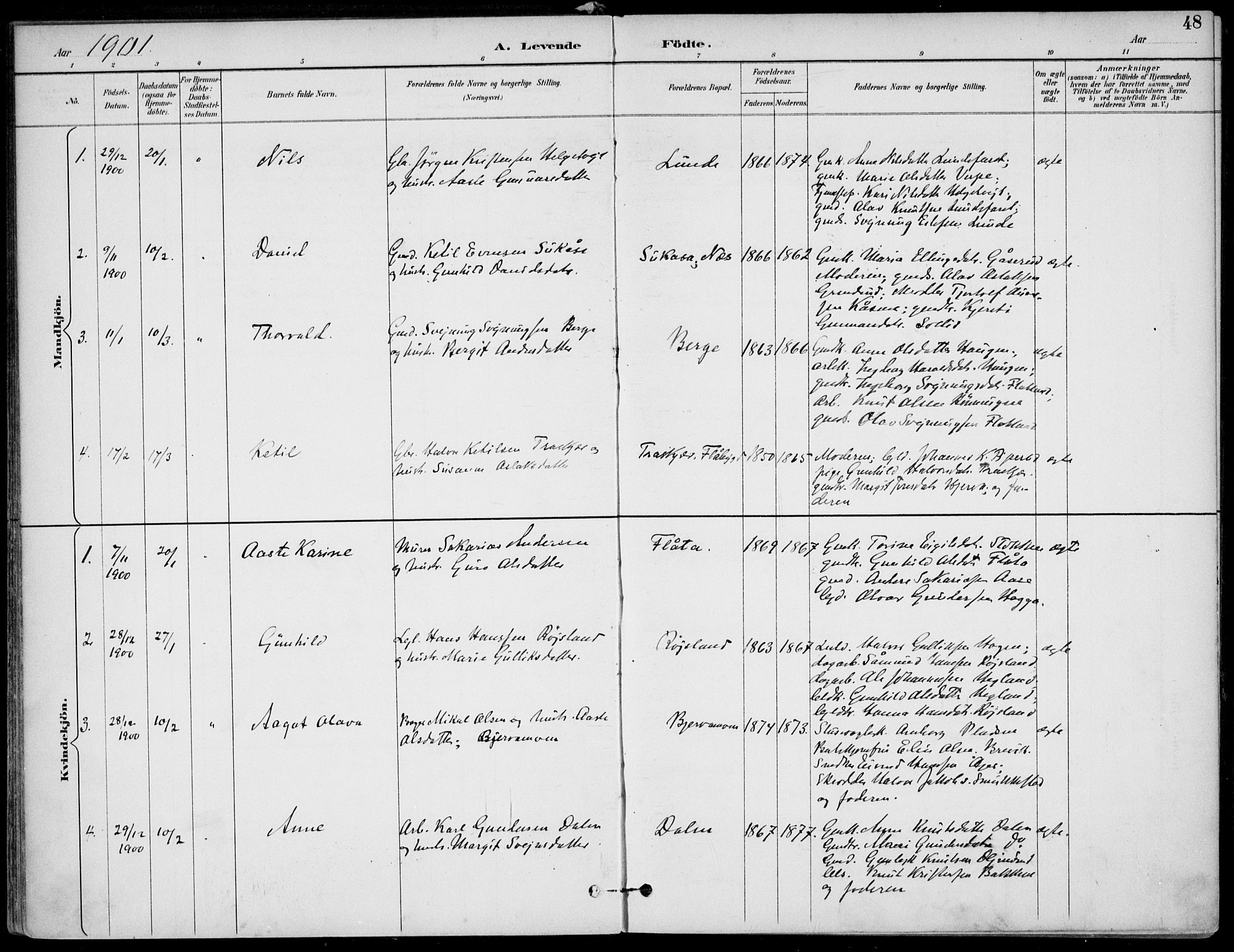Lunde kirkebøker, AV/SAKO-A-282/F/Fa/L0003: Parish register (official) no. I 3, 1893-1902, p. 48