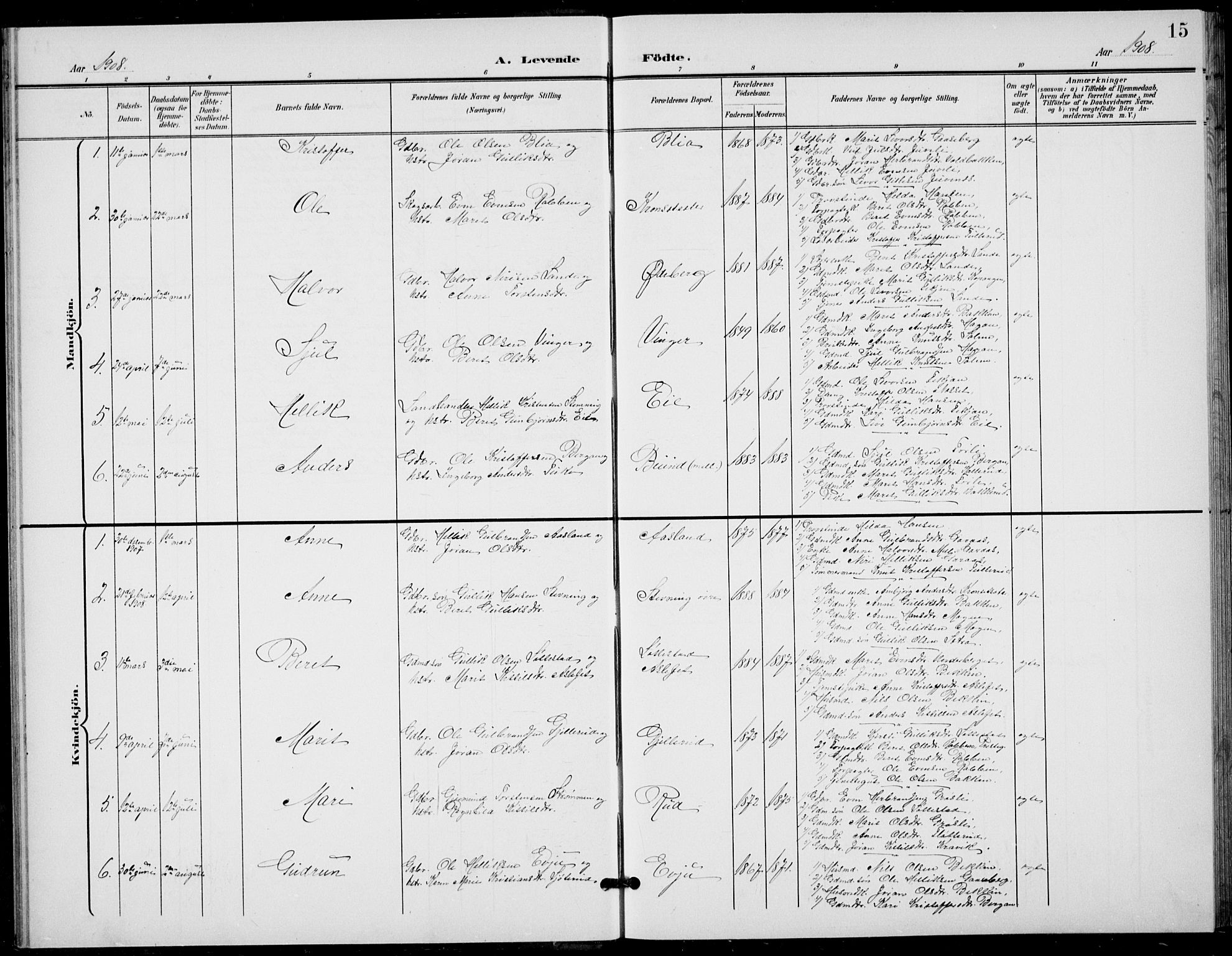 Flesberg kirkebøker, SAKO/A-18/G/Ga/L0005: Parish register (copy) no. I 5, 1899-1908, p. 15