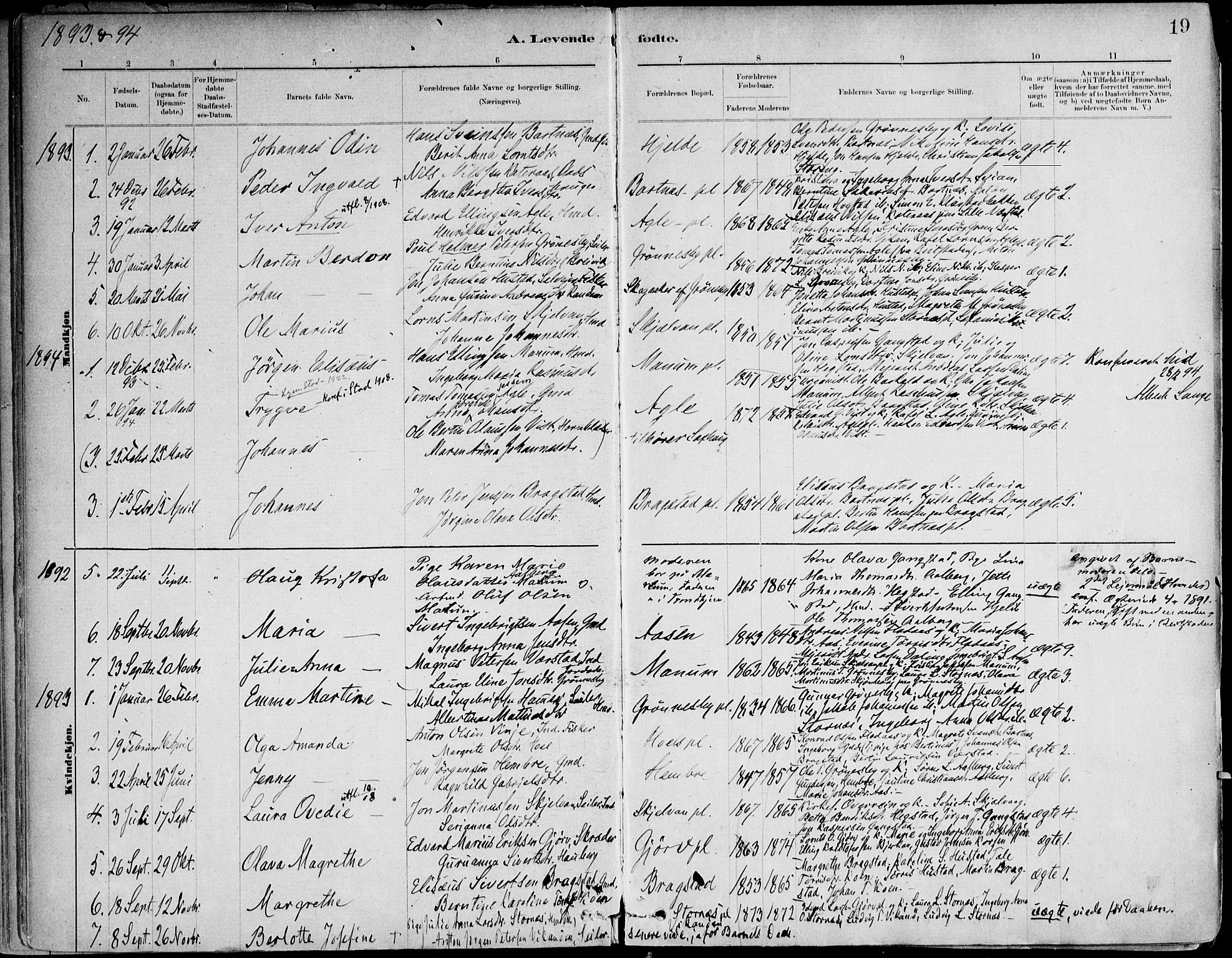 Ministerialprotokoller, klokkerbøker og fødselsregistre - Nord-Trøndelag, SAT/A-1458/732/L0316: Parish register (official) no. 732A01, 1879-1921, p. 19
