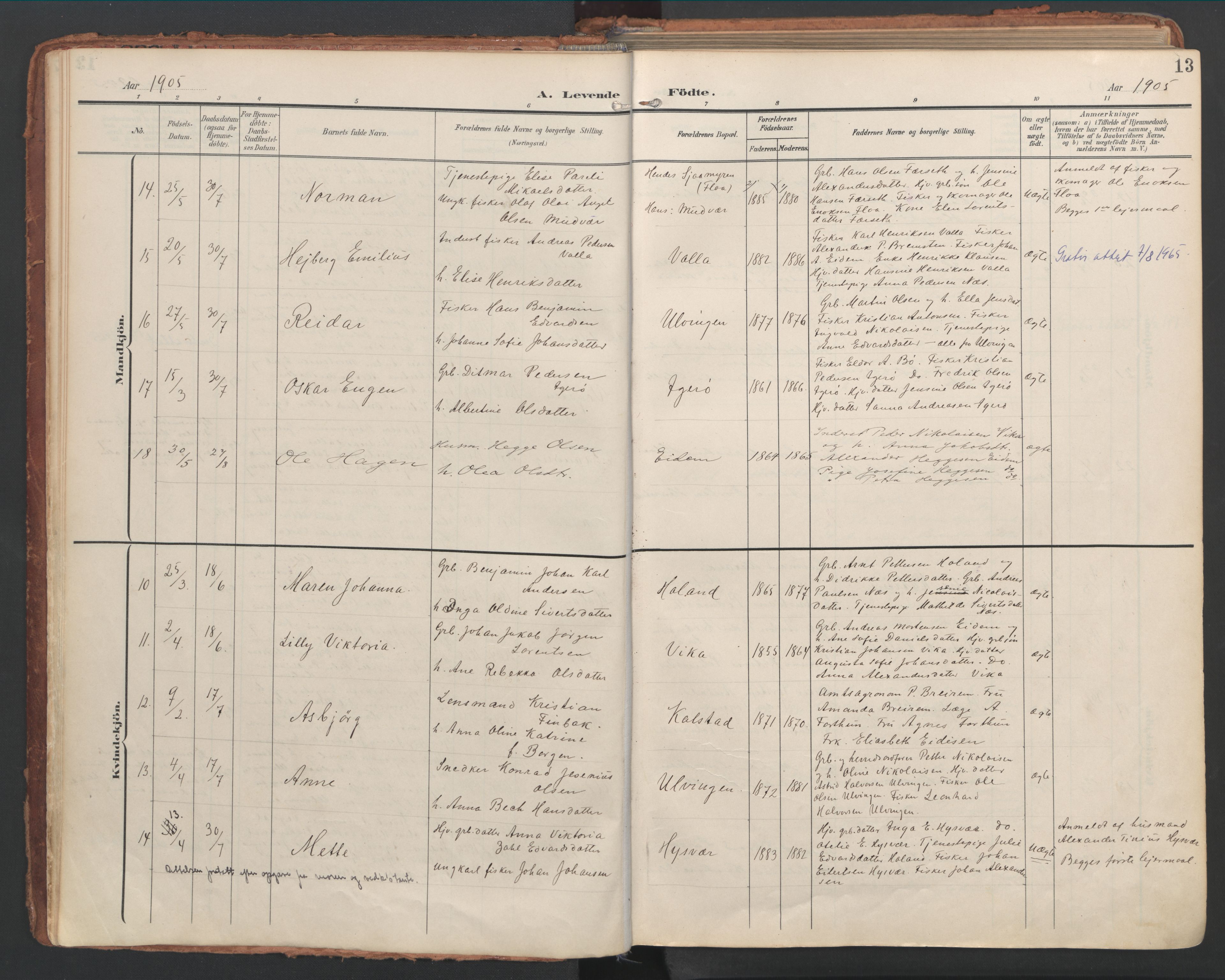 Ministerialprotokoller, klokkerbøker og fødselsregistre - Nordland, AV/SAT-A-1459/816/L0250: Parish register (official) no. 816A16, 1903-1923, p. 13