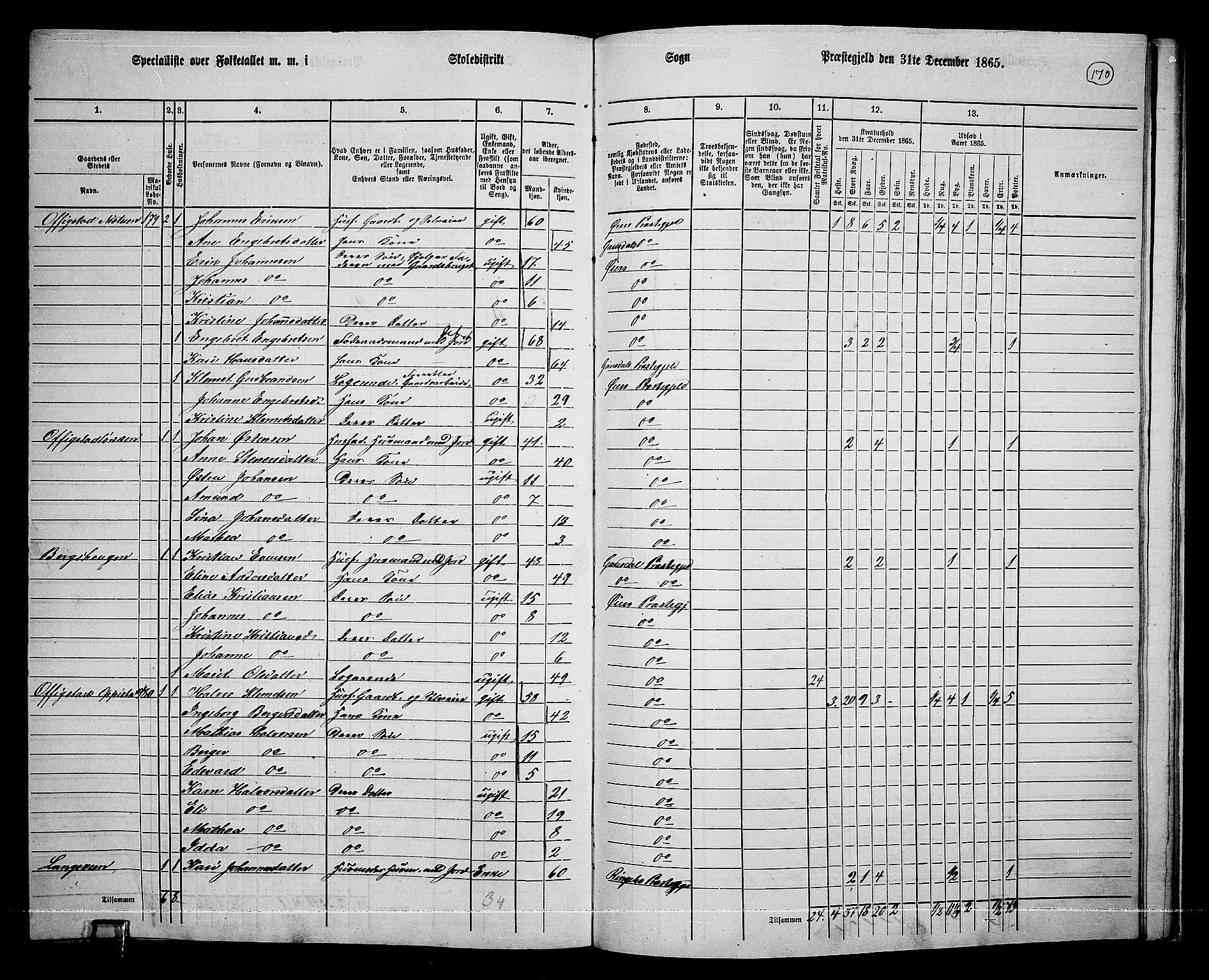 RA, 1865 census for Øyer, 1865, p. 155