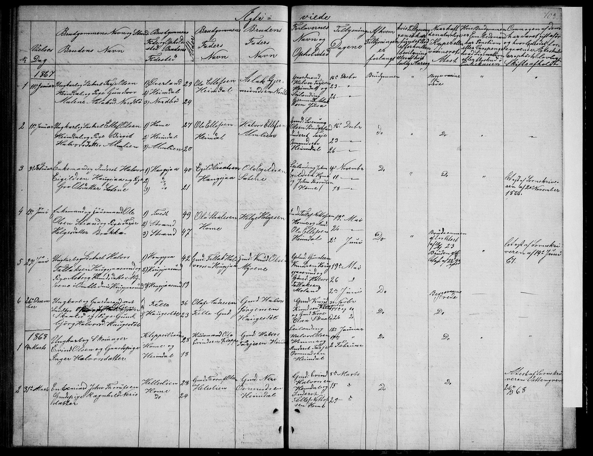Nissedal kirkebøker, SAKO/A-288/G/Gb/L0002: Parish register (copy) no. II 2, 1863-1892, p. 103