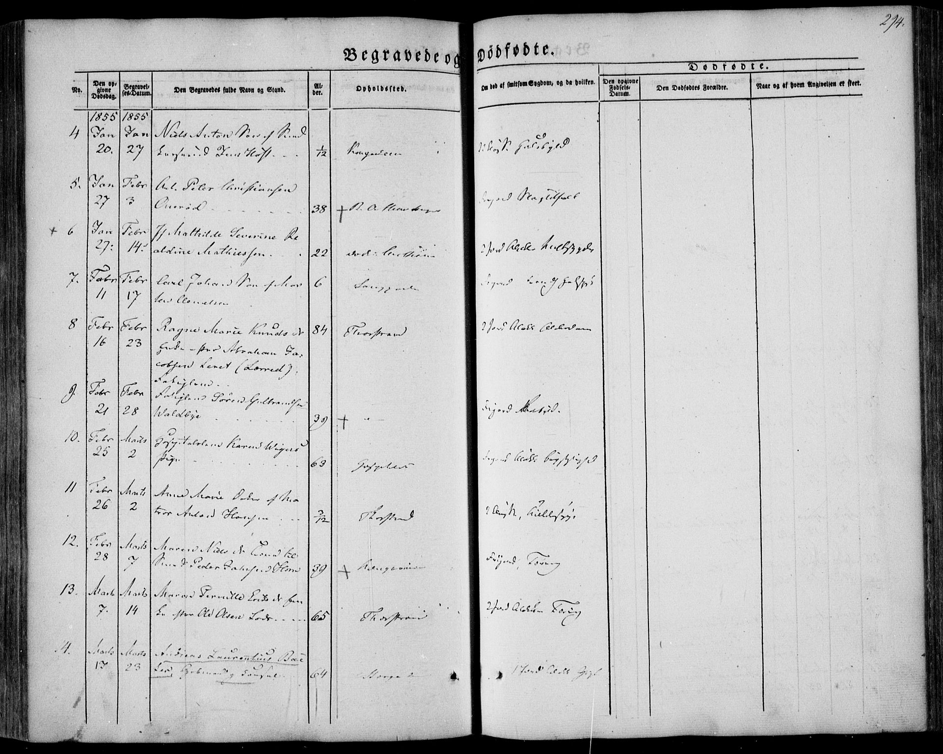 Larvik kirkebøker, AV/SAKO-A-352/F/Fa/L0003: Parish register (official) no. I 3, 1848-1856, p. 294