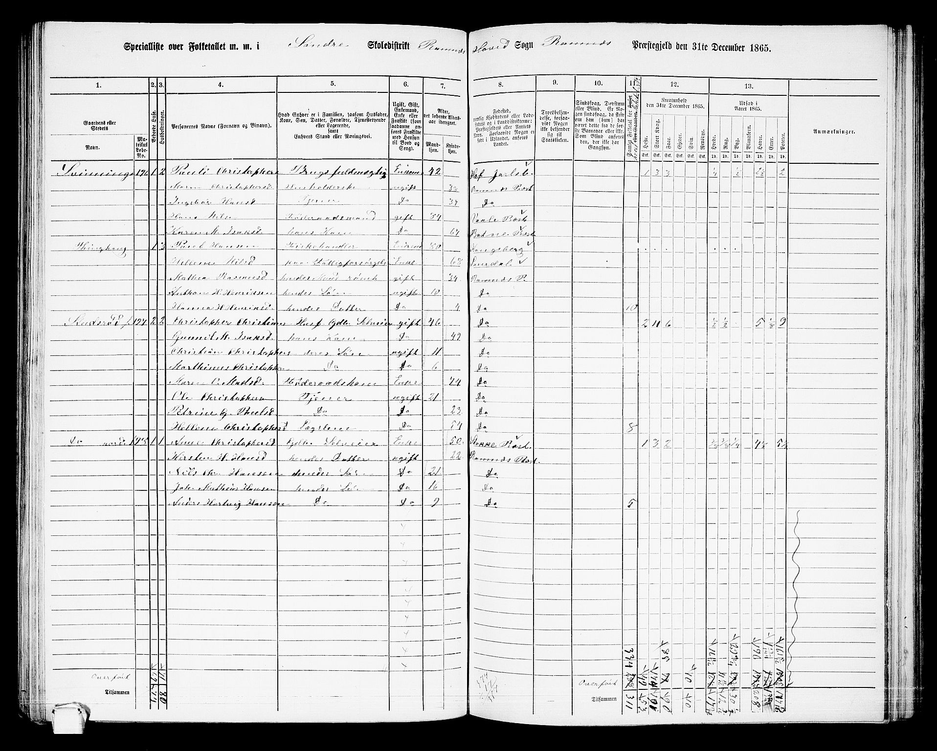 RA, 1865 census for Ramnes, 1865, p. 38