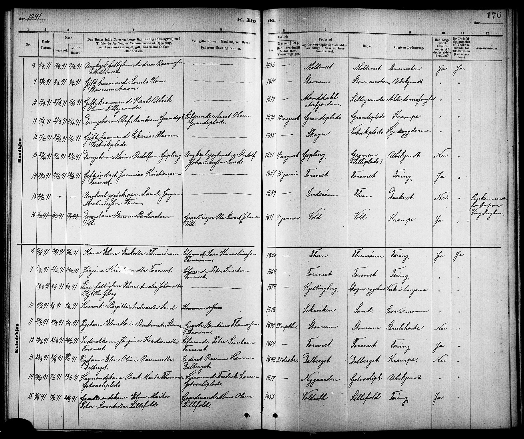 Ministerialprotokoller, klokkerbøker og fødselsregistre - Nord-Trøndelag, AV/SAT-A-1458/744/L0423: Parish register (copy) no. 744C02, 1886-1905, p. 176