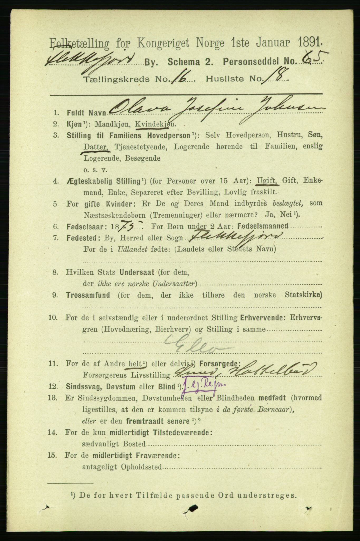 RA, 1891 census for 1004 Flekkefjord, 1891, p. 2080