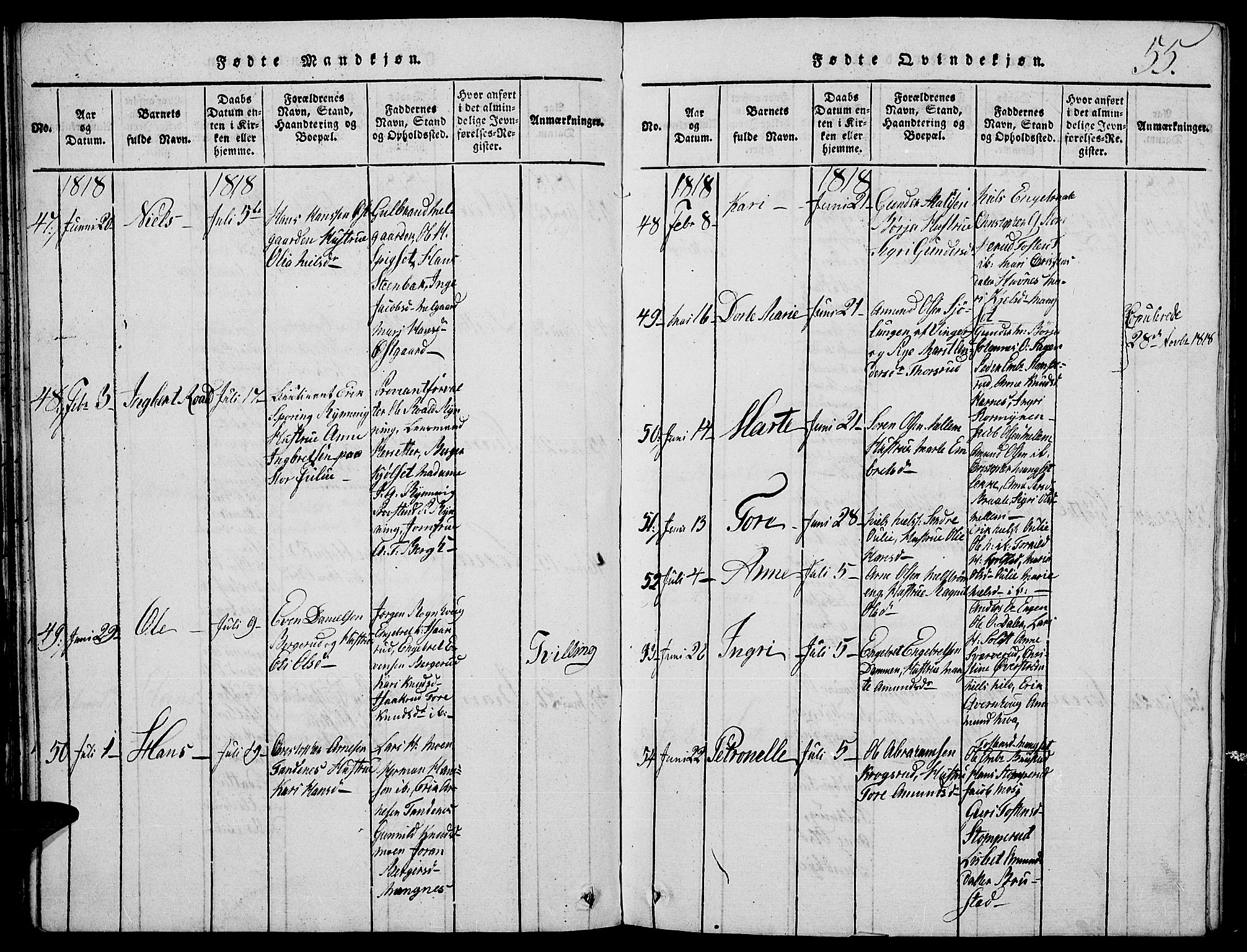 Strøm-Odalen prestekontor, AV/SAH-PREST-028/H/Ha/Hab/L0001: Parish register (copy) no. 1, 1813-1825, p. 55